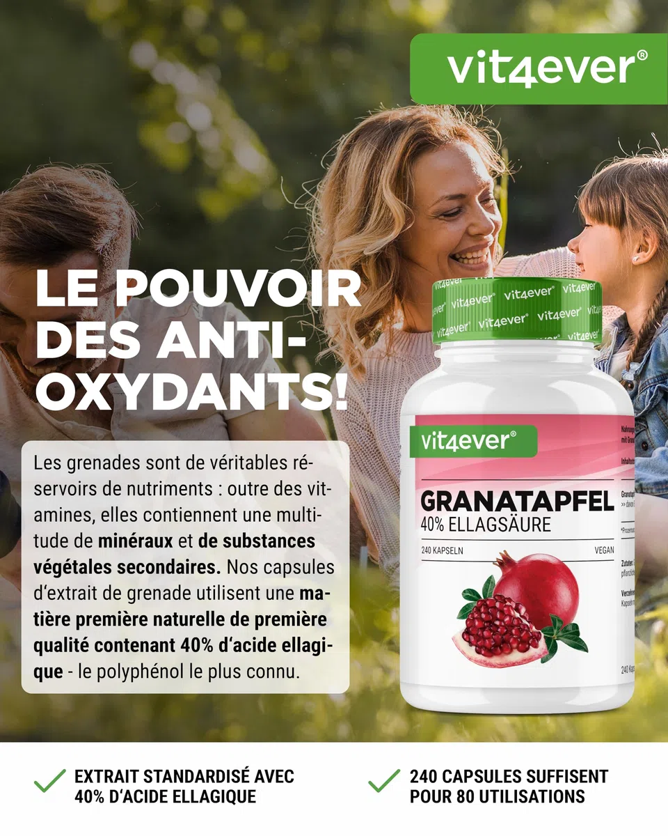 Extrait de Grenade - 240 gélules végétaliennes - Extrait naturel de première qualité avec 40% d'acide ellagique - Hautement dosé - Végétalien