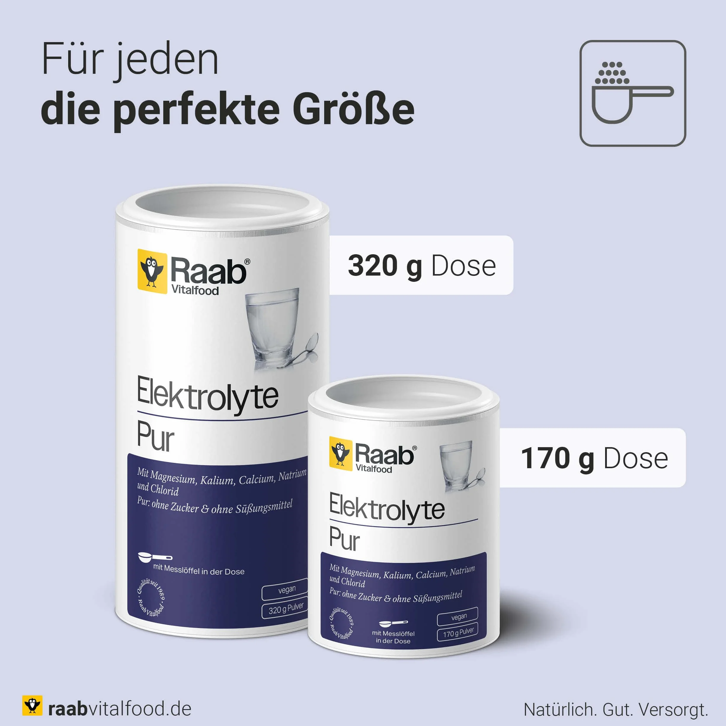 Raab Vitalfood Electrolytes Pur (320 g) - Végétalien, avec cuillère doseuse, poudre d'électrolytes sans sucre et sans édulcorant, parfait pour les sportifs en perte de liquide