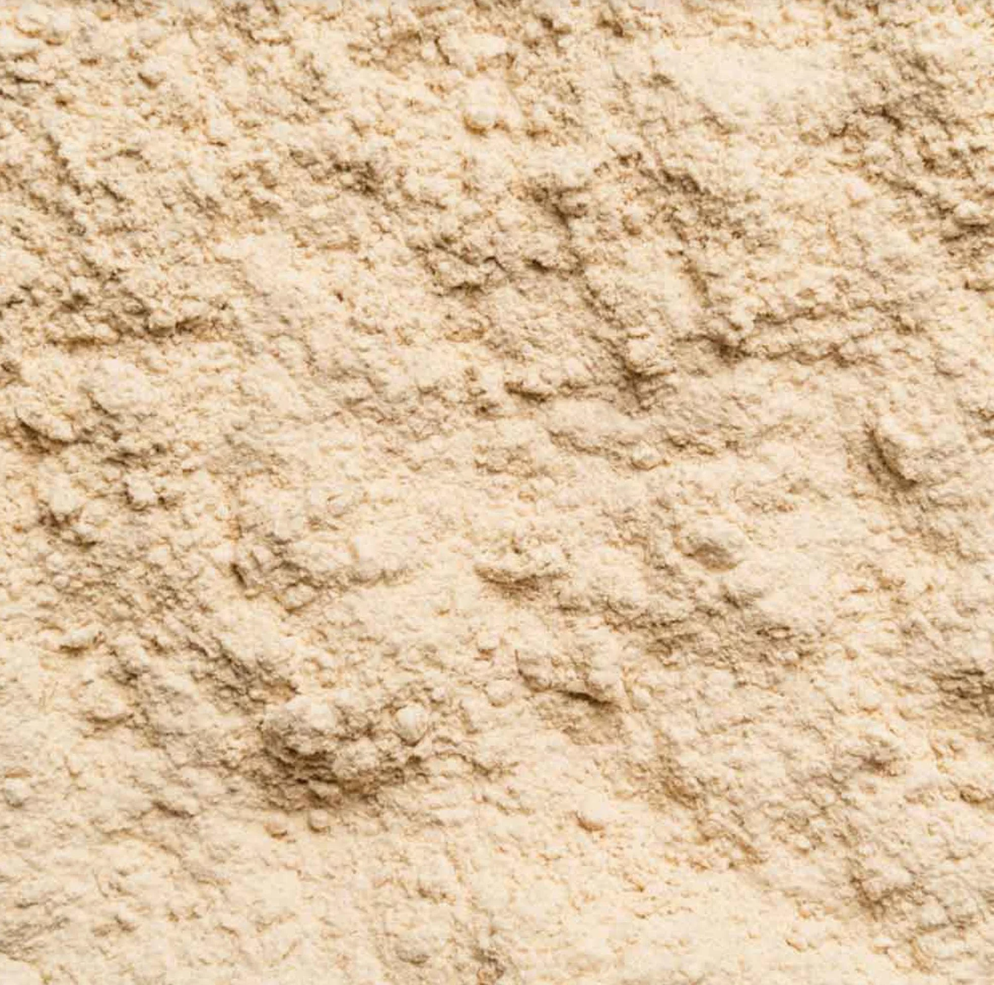 Shatavari poudre bio 500g (2x250g) - asperge indienne - Asparagus Racemosu - Ayurveda - conditionné et certifié en Allemagne- Biotiva