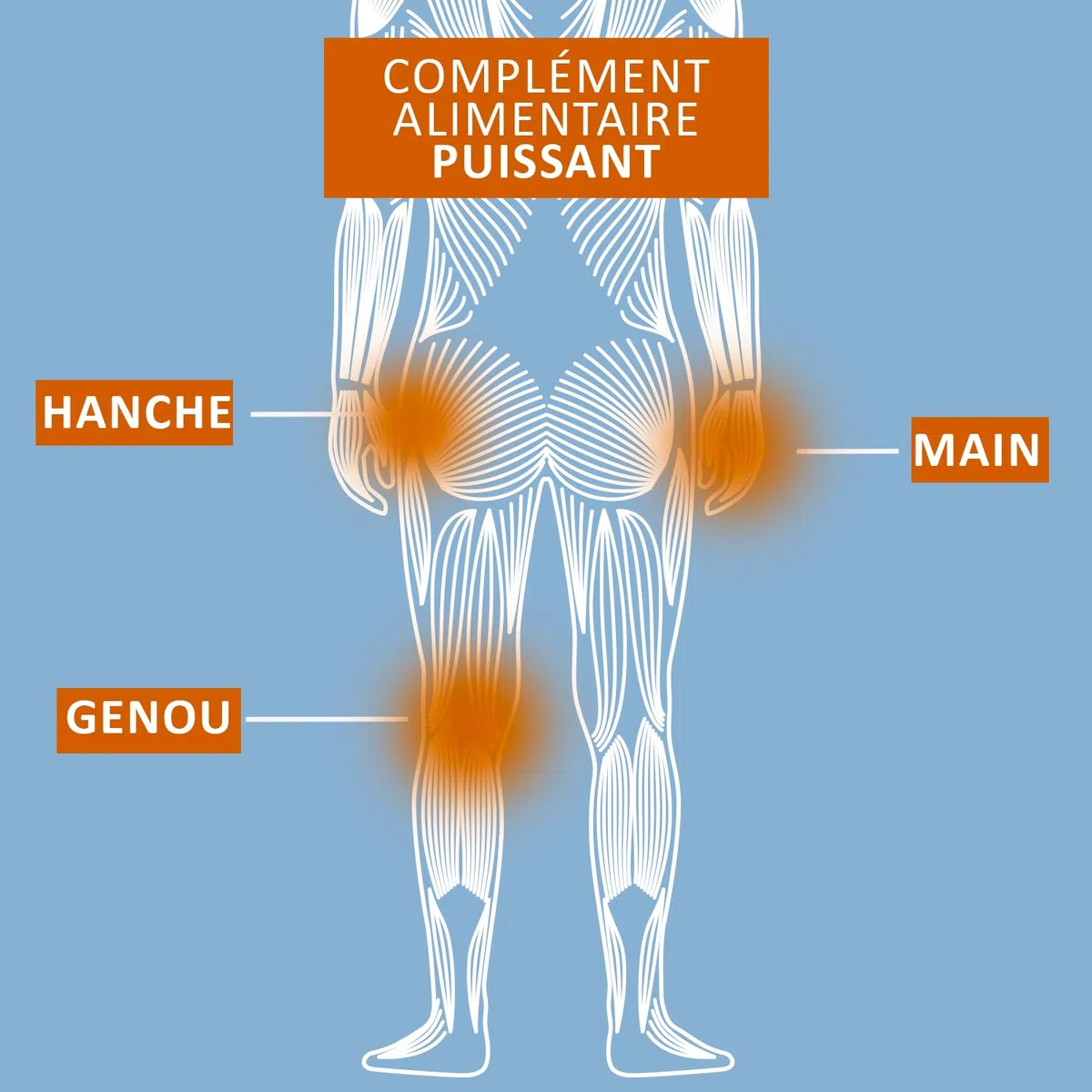 Articulations Douloureuses - Anti-inflammatoire naturel - Curcumine (curcuma) - Magnésium - - Fabriqué en France - 1 mois - NATURAFRANCE