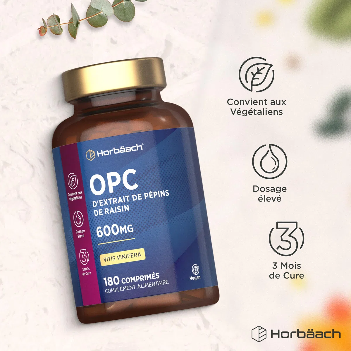OPC Extrait de Pépins de Raisin | 180 Gélules Vegan | 95% OPC Raisin | Vitis Vinifera L. | Proanthocyanidines Oligomére Fortement Dosé | Grapeseed Extract | par Horbaach