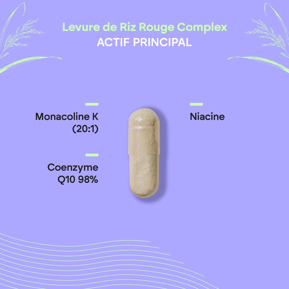 LEVURE DE RIZ ROUGE 2,9mg Monacoline K + Q10 + Vit C E - Levure de riz rouge - 90 Gélules Vegetales Nutralie