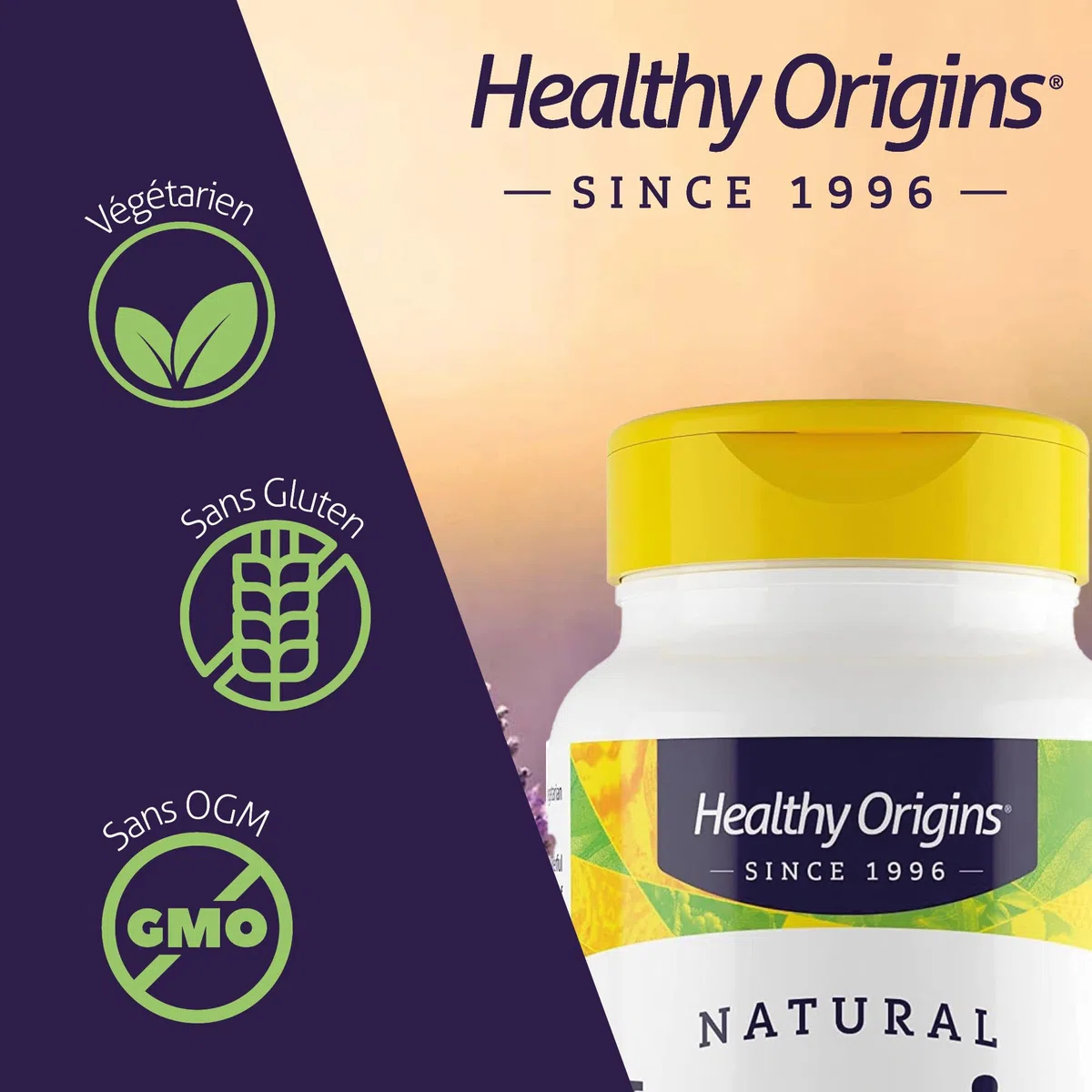Healthy Origins, Vitamine K2 MK-7, 100mcg, à Base de Natto, 60 Capsules, Sans Gluten, Sans Soja, Sans OGM