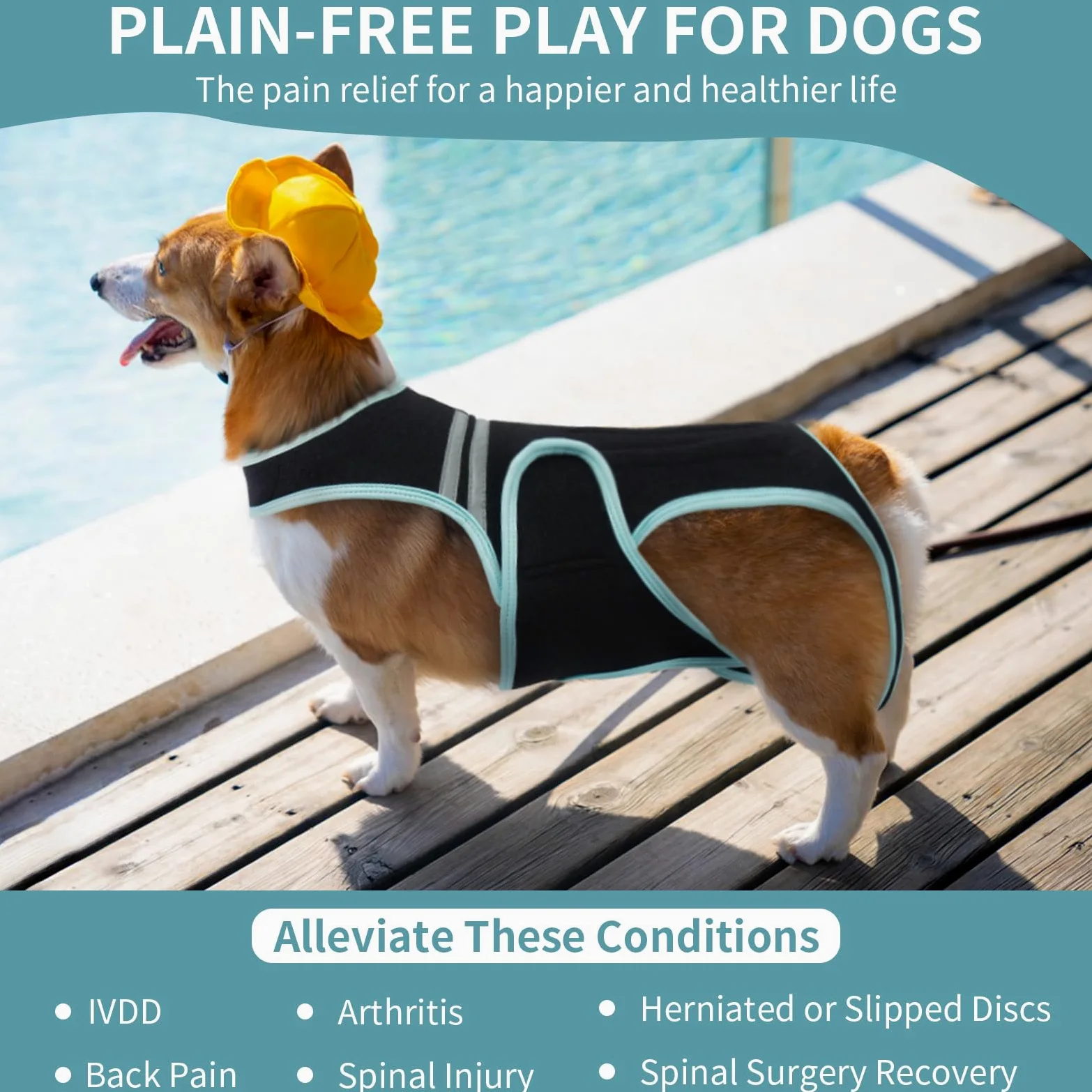 Support Dorsal pour Chien, Protection Dorsale Aide À La Récupération et À La Rééducation des Blessures(M)