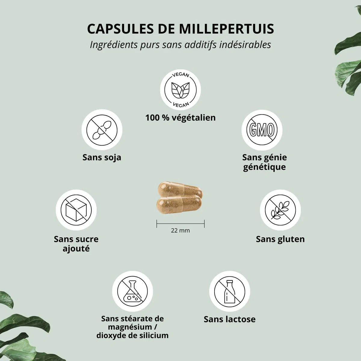 Millepertuis gelules avec hypéricine - hautement dosé & végétalien - 90 capsules sans additifs - St. John's Wort Extract - Capsules d'extrait de Millepertuis