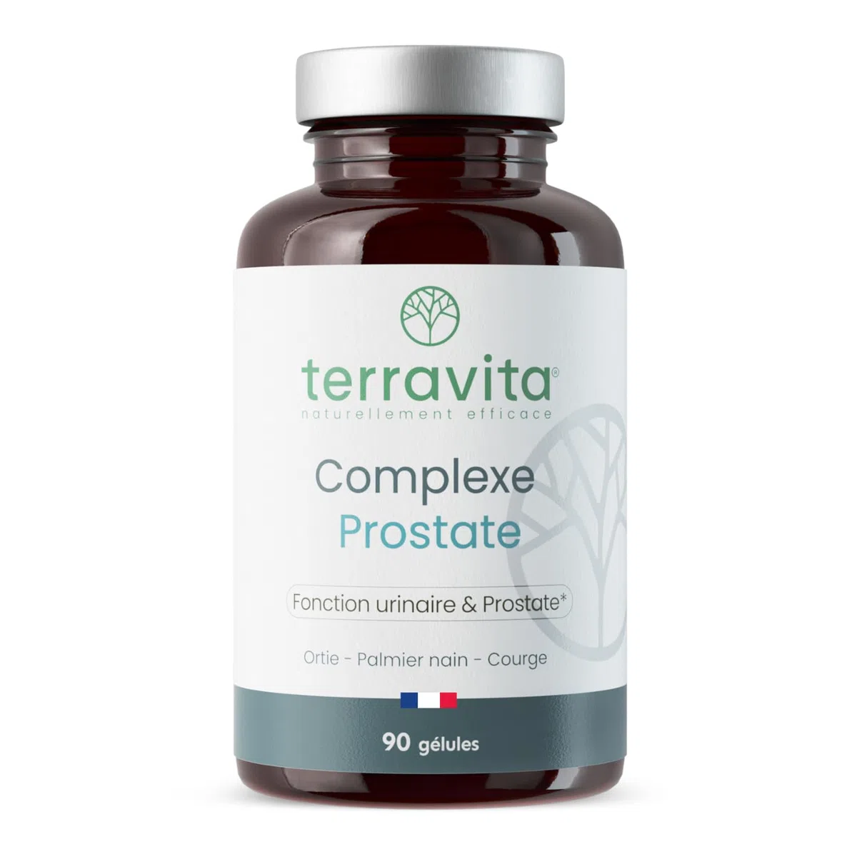 Complexe PROSTATE | Protection de la Prostate et Confort Urinaire Homme | Lutte Naturellement et Efficacement contre l’HBP et les Mictions | Dosage Clinique | 90 Gélules | Made in France | Terravita