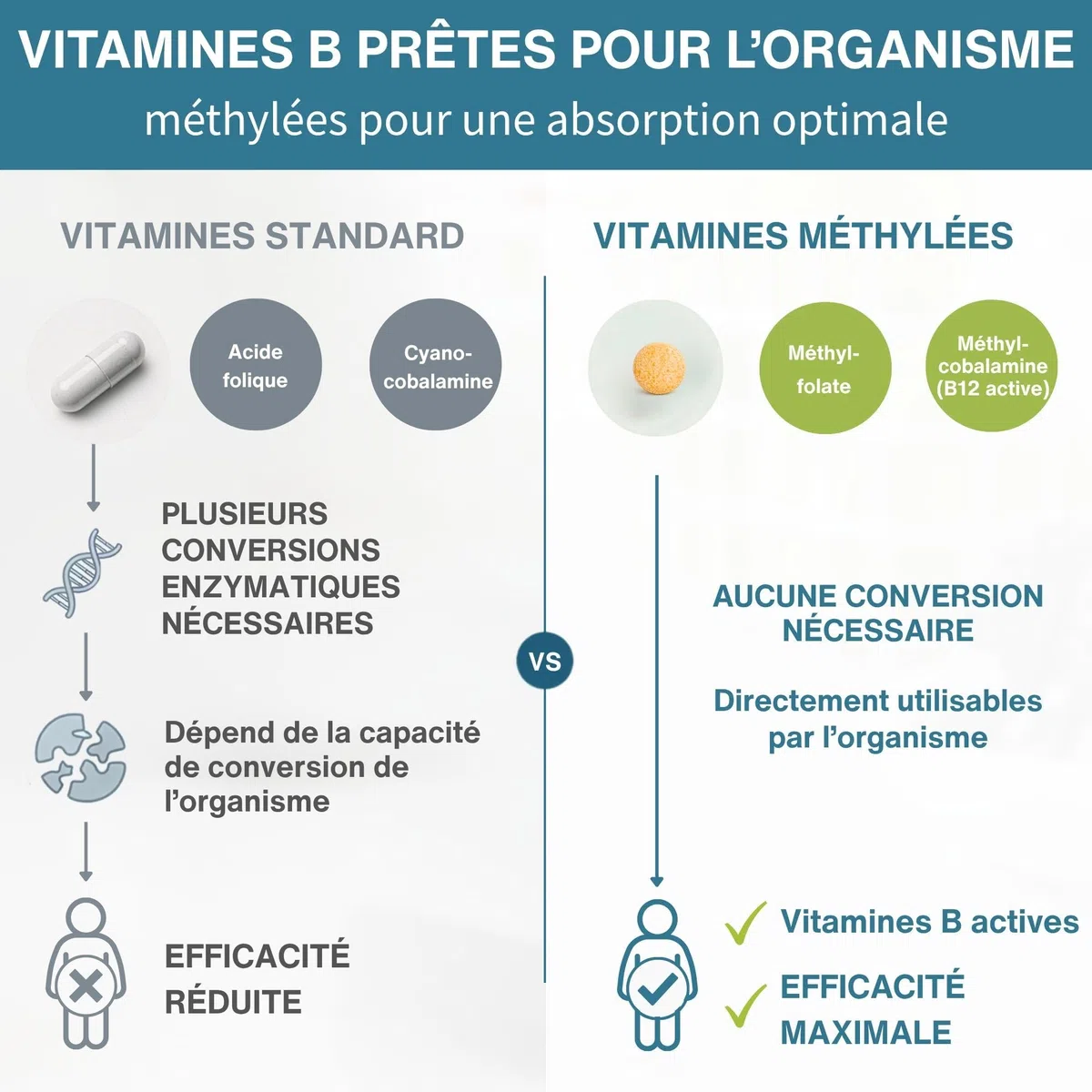 Igennus Super B-Complex à Haute Absorption avec Vitamines B Méthylées et Vitamine C, Liberation Prolongée, Ingredients Purs et Vérifié en Laboratoire, 180 Petits Comprimés, Vegan