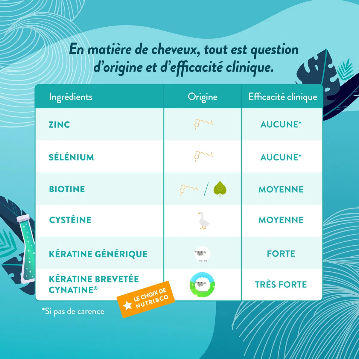 NUTRI & CO Biotine Cheveux avec Kératine Brevetée + Vitamine B8 - Accélère la Pousse des Cheveux & des Ongles - Complément Alimentaire pour Cheveux - 60 gélules Vegan Fabriqué en France