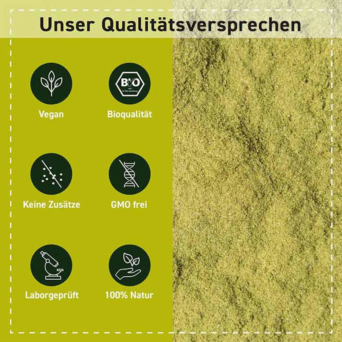 Poudre de Brahmi bio - 500g - Bacopa Monnieri - Hysope d'eau - Végan - Garanti sans additifs - Conditionné et supervisé en Allemagne - Biotiva