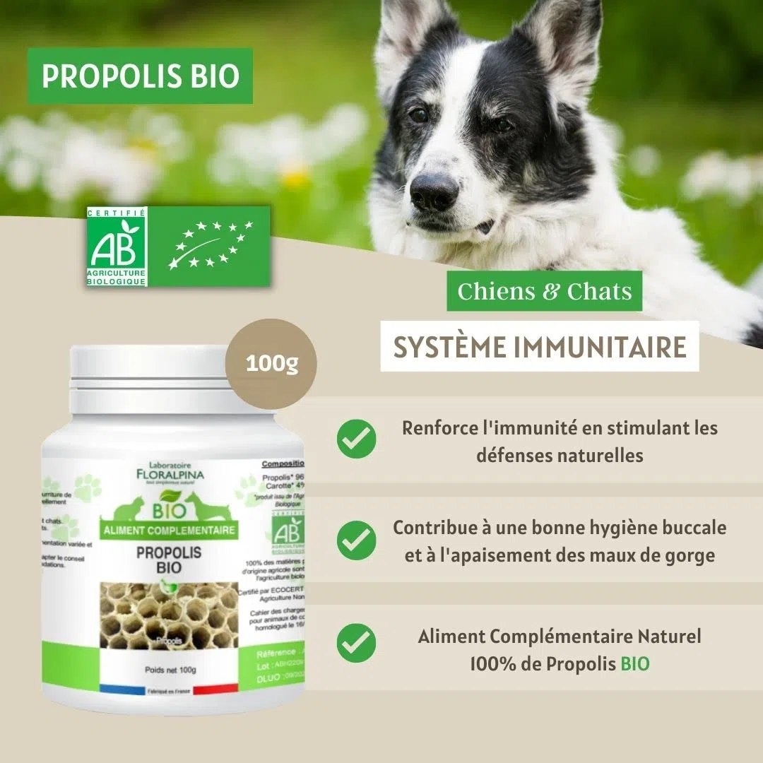 Propolis Bio 100g pour Chien et Chat - Hygiène buccale, Stimulation des défenses immunitaires, cicatrisation des plaies