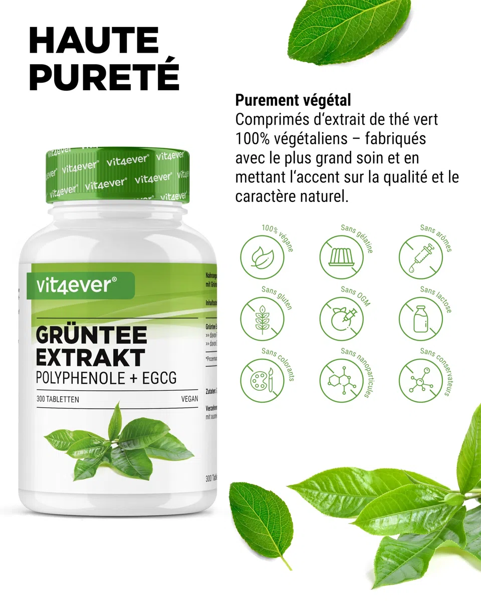 Extrait de Thé Vert 300 Comprimés - Hautement Dosé avec 2000 mg d’Extrait de Thé Vert, 300 mg d’EGCG et 1000 mg de Polyphénols par Dose journalière - Green Tea - Vegan - Sans additifs inutiles
