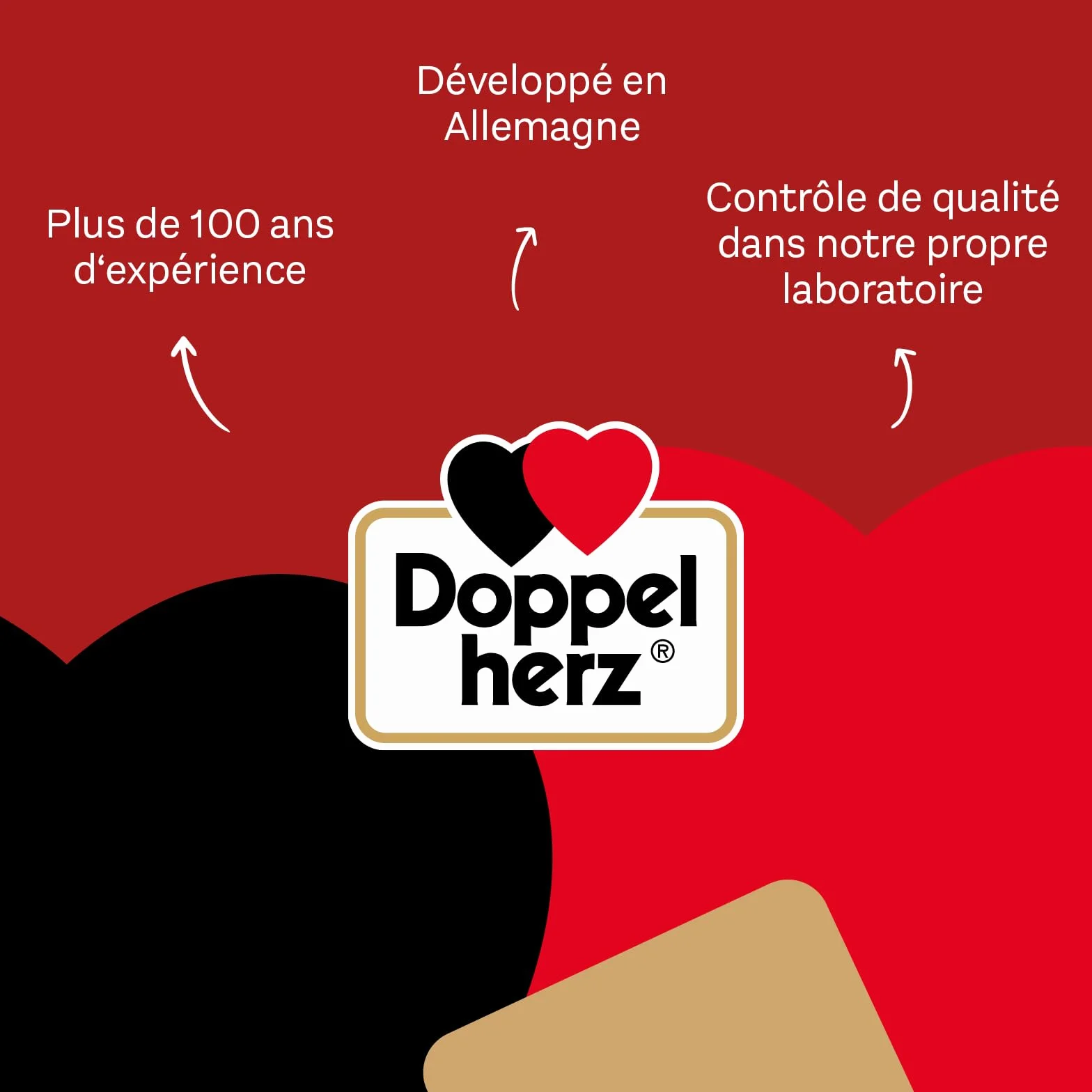 Doppelherz Coenzyme Q10 200 - soutient le métabolisme énergétique et contribue à la protection des cellules contre le stress oxydatif - 120 gélules