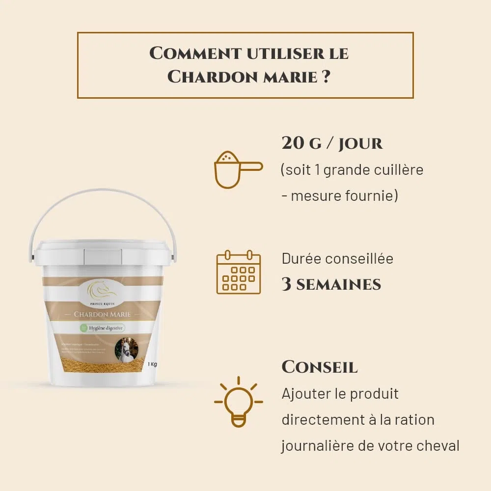 Chardon Marie - Complément nutritionnel Cheval - Seau 1 kg - Détoxification Foie Cheval - Élimination des toxines - Marque Française
