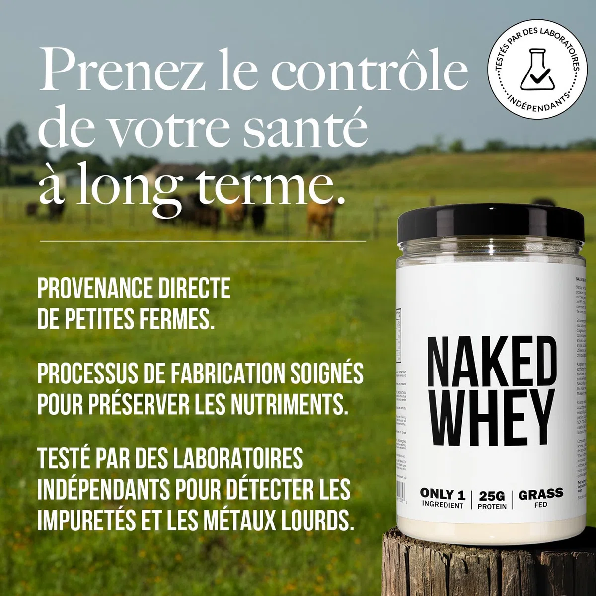 Naked Whey Protein, Seulement 1 ingrédient, Protéine en Poudre, Grass Fed, Sans Gluten, Sans Soja, Sans OGM, 25g de Protéine et 6g de BCAAs par mesure, Sans saveur, 12 Portions, 450g