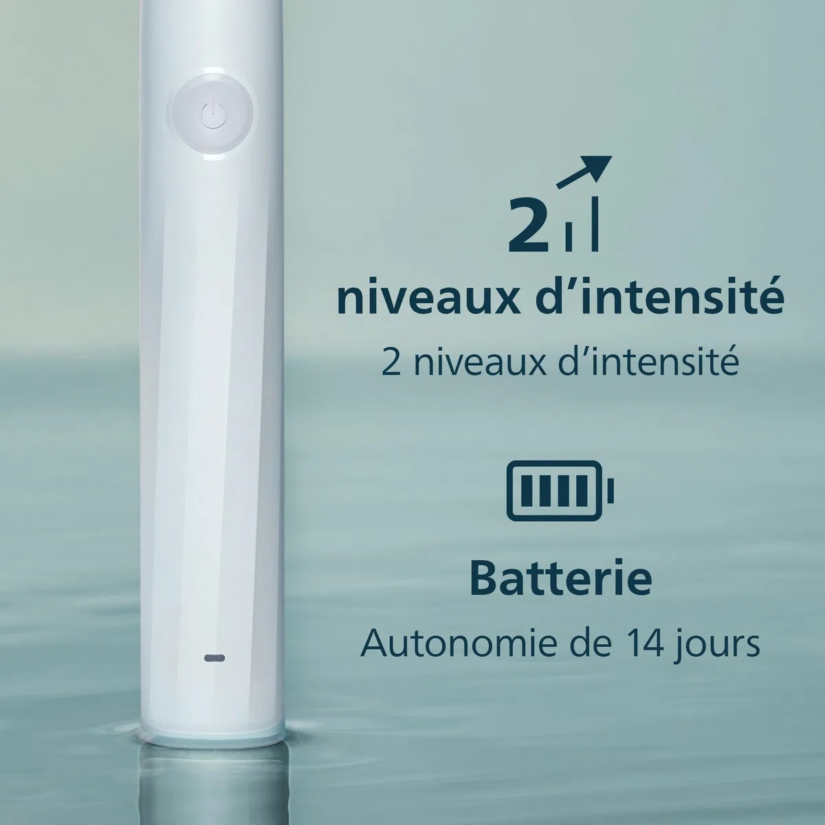 Philips Sonicare série 2100 – Brosse à dents électrique, brosse à dents sonique avec 2 niveaux d’intensité, EasyStart, SmarTimer, 14 jours d’autonomie, coloris blanc, modèle HX4021/01, [Nouveau]