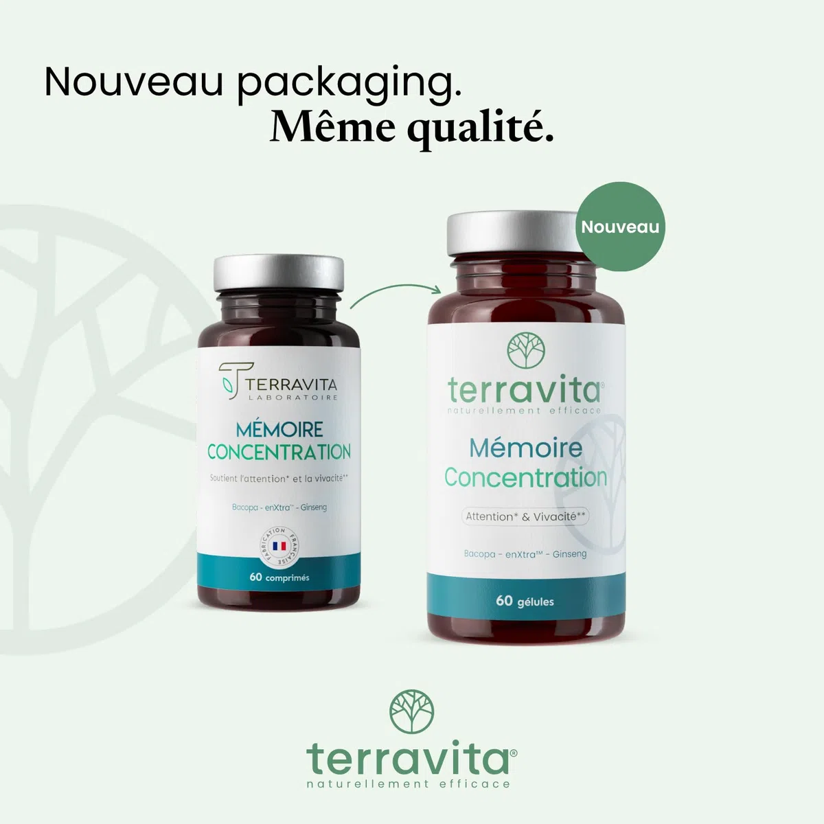 Mémoire Concentration | Ginseng Rouge de Corée + Bacopa + Actif Breveté EnXtra | 5 Heures de Vivacité et de Clarté Intellectuelle | Nootropique sans Caféine | 60 Gélules | Made in France | Terravita