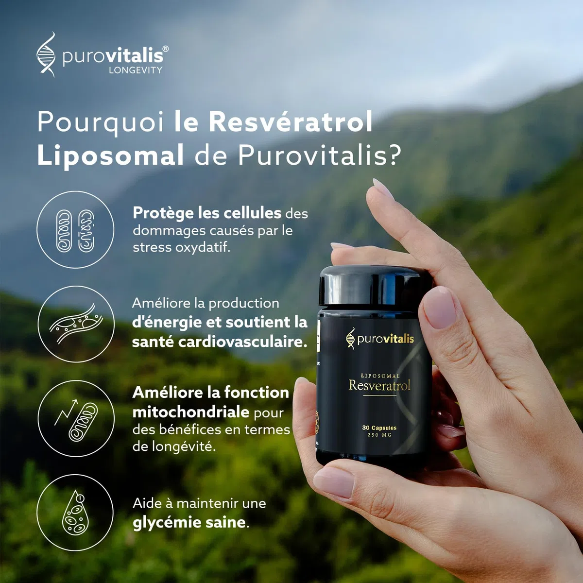PUROVITALIS Resvératrol liposomal 250mg, 30 portions (30 gélules végétaliennes), supplément antioxydant trans-resvératrol de haute pureté