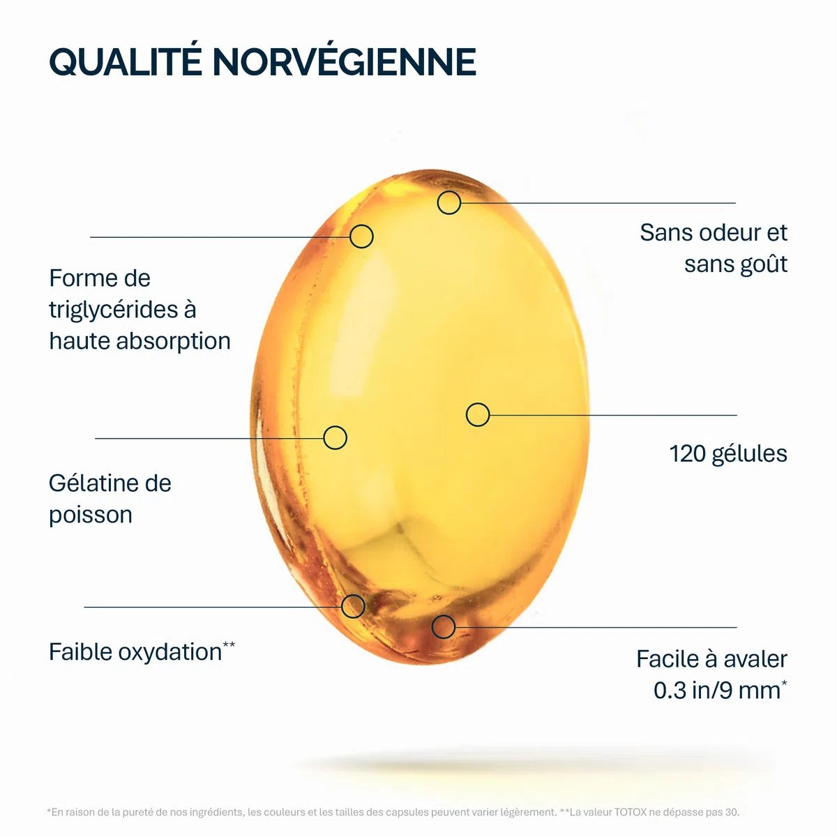 NFO OMEGA 3 6 9 HUILE DE SAUMON [120 petites gélules] Norvégiennes huile de poisson Omega 3 6 9 de saumon avec EPA, DHA, DPA en triglycérides, Omega 3 enfant et adultes, Oméga 3 gélules, 14+