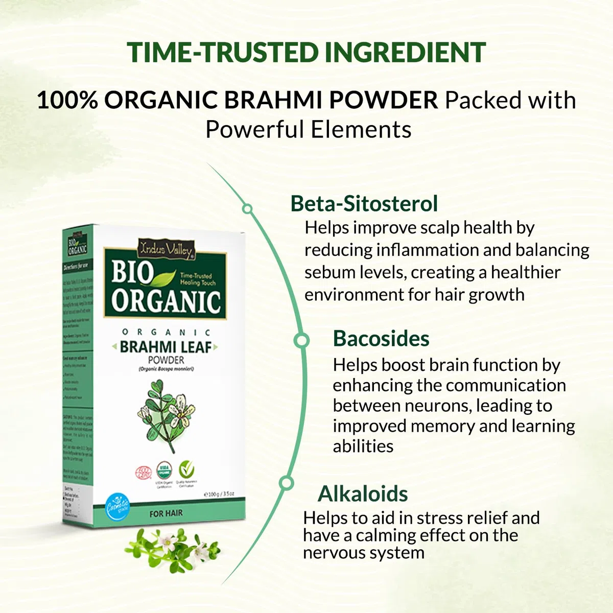 Indus Valley Bio Organic Brahmi Herbs Powder for Hair Nourishment (Bacopa monnieri)- Natural & 100% Pure