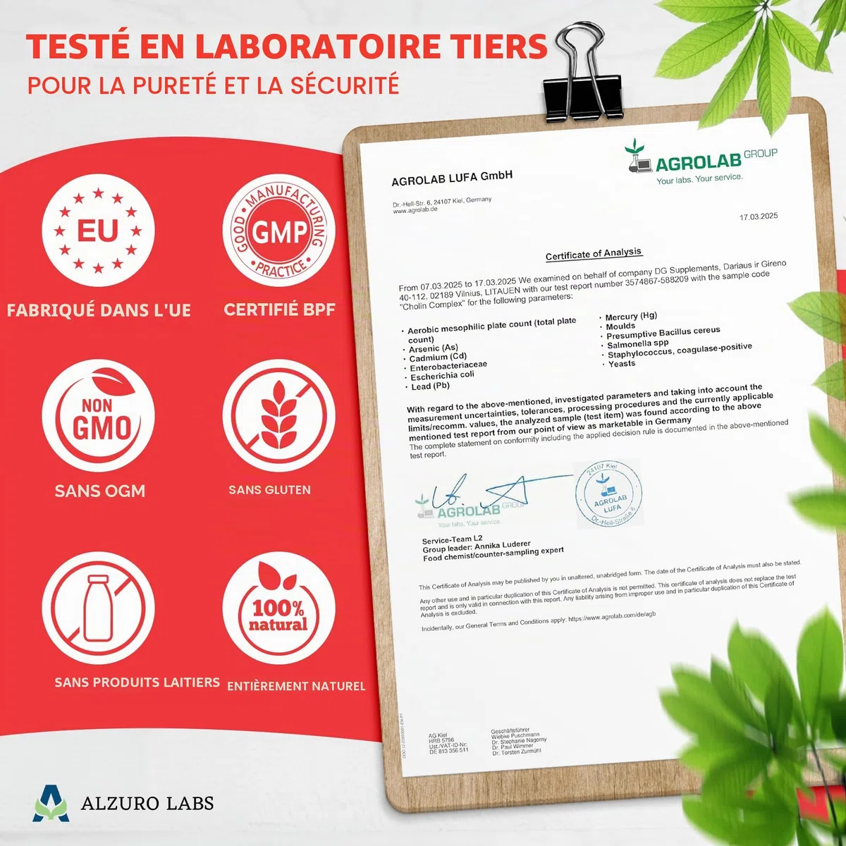Complexe Choline | Bitartrate de choline, Citicoline (CDP-choline) & Phosphatidylsérine | 120 gélules végétales | GMP & Testé en Laboratoire Indépendant