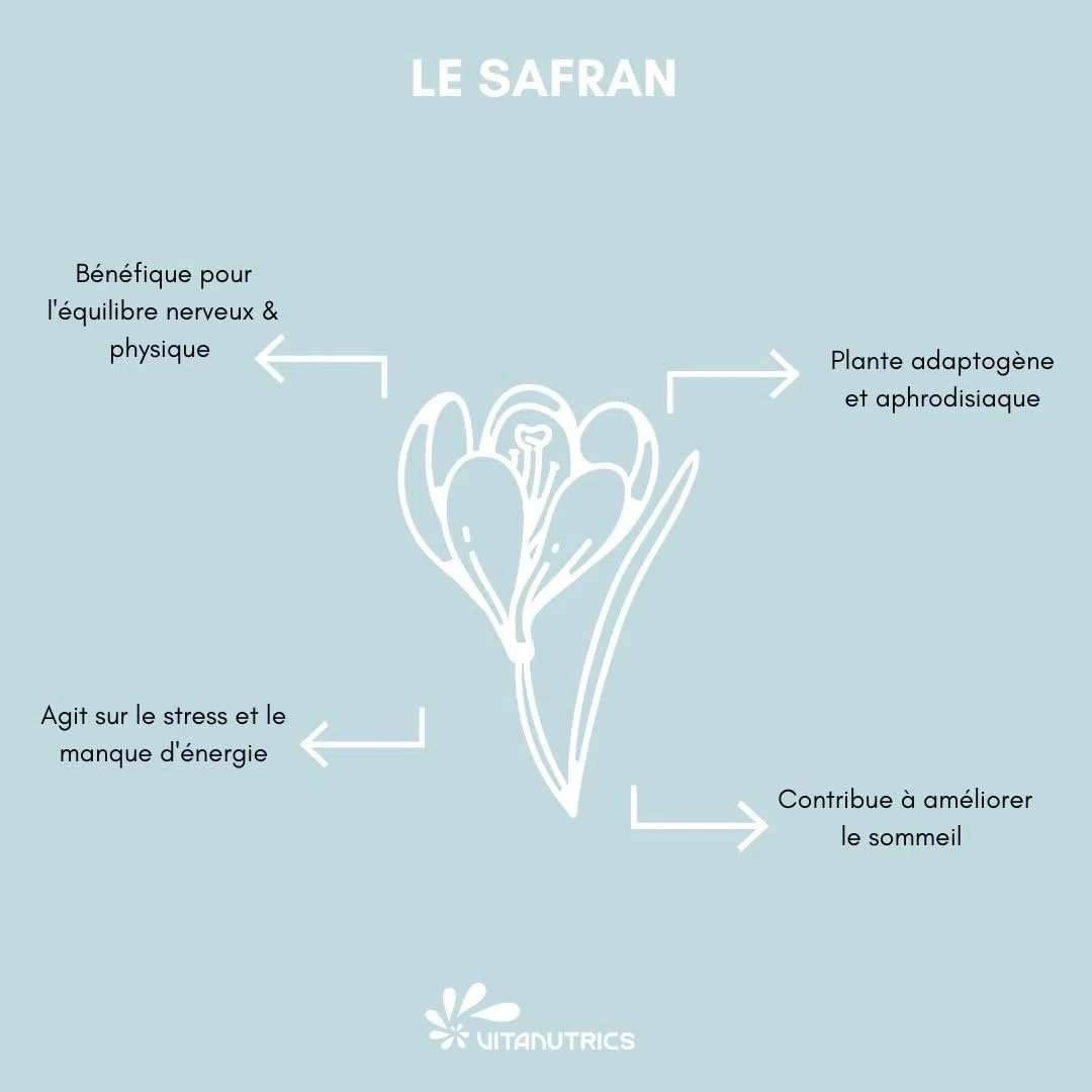 Vitanutrics - VITAPROZEN Ser'Activ - Équilibre Émotionnel, Irritabilité - Safran, Curcuma, Vitamines, Magnésium, Taurine - Formule 100% Végan - 30 comprimés