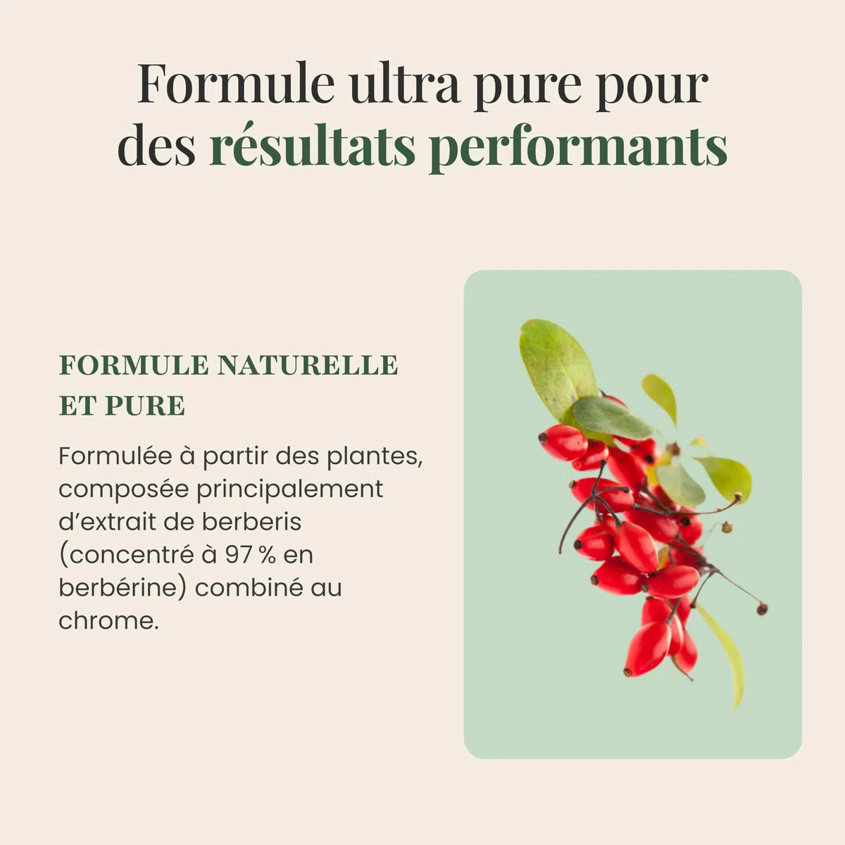 SFB Laboratoires Berbérine BIO 1200mg Haute Qualité, Chrome - Minceur et Régulation du Sucre, Soutient la Digestion & Métabolisme - Extrait Naturel - 3 mois traitement - 150 Gélules