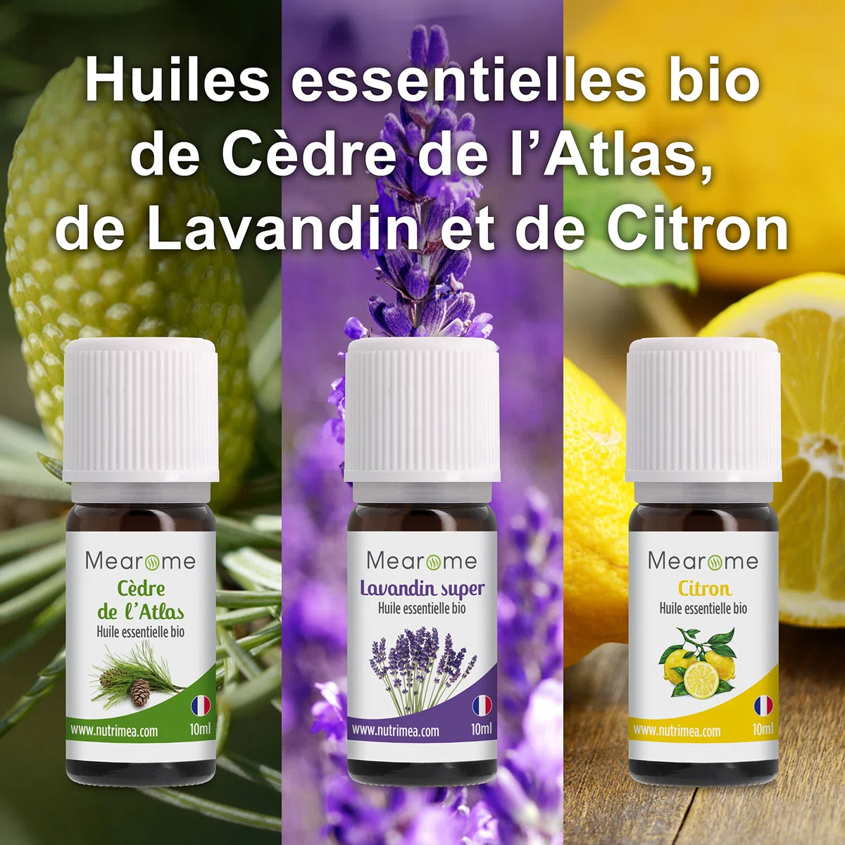 Coffret 8 x 10 ml Huiles Essentielles BIO distillées en FRANCE + Guide d'Aromathérapie PDF | HEBBD, HECT | Kit pour Cuisine, Diffuseur | Bienfaits Respiratoires, Encombrement, Digestion | Mearome