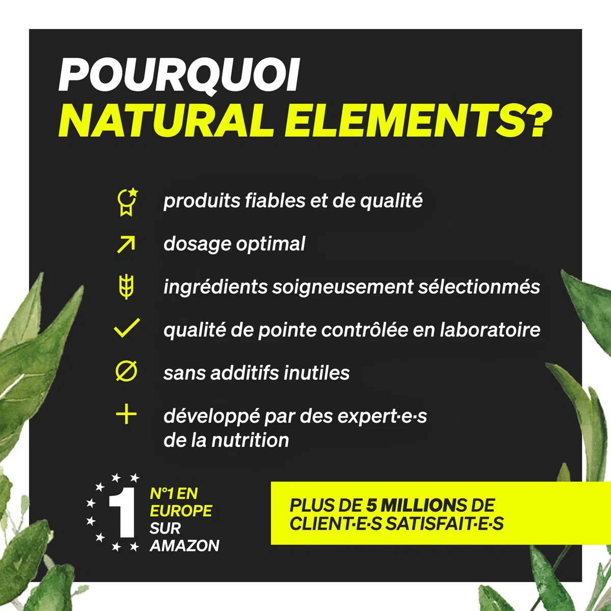Malate de L-Citrulline en Poudre 2:1 – 500 g de poudre – idéal pour le sport – végane, haute pureté, hautement dosé, sans additifs – produit en Allemagne et contrôlé en laboratoire
