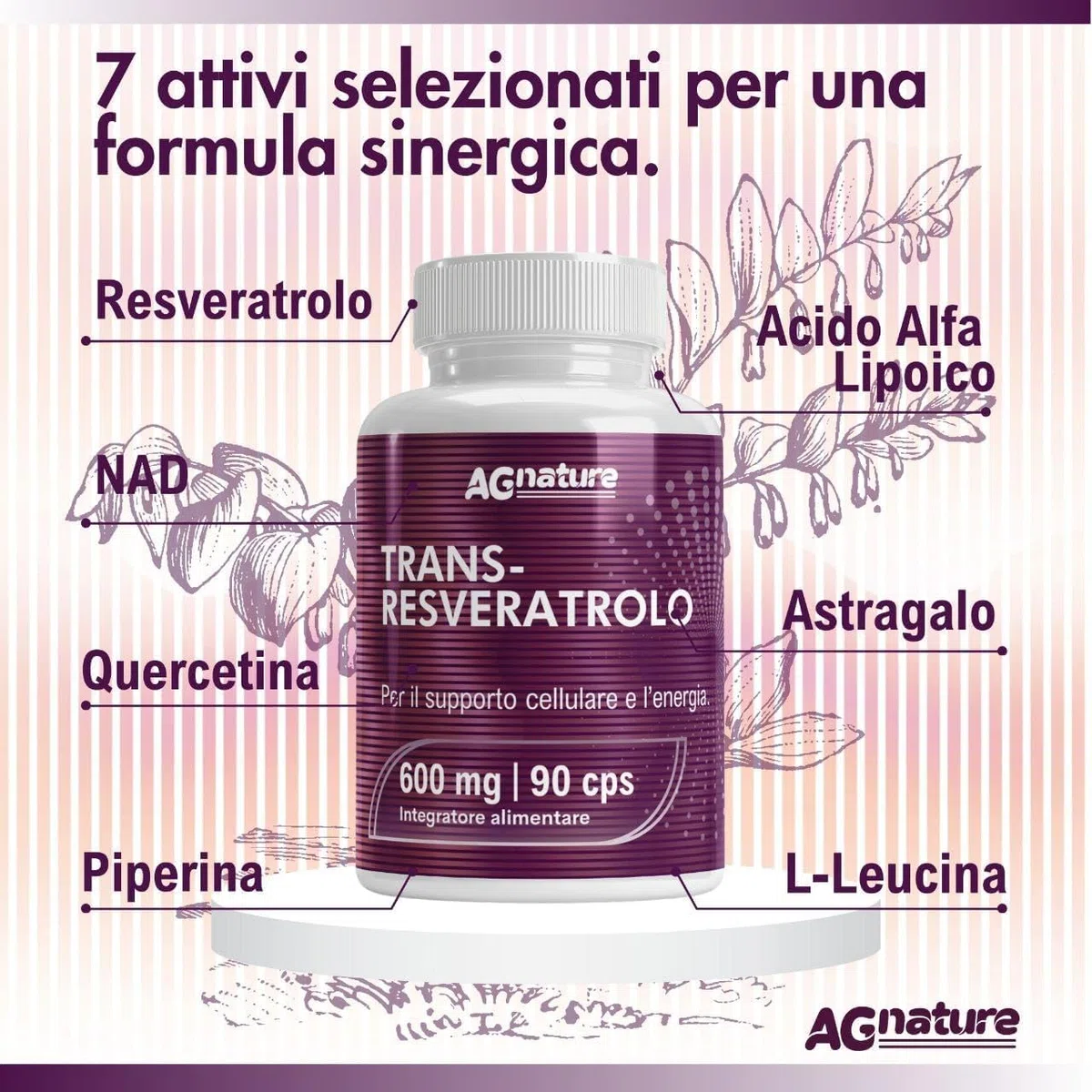 Trans-Resvératrol 600 mg Antioxydant Pur – 90 Comprimés avec NAD, Quercétine, Pipérine, Acide Alpha-Lipoïque et Astragale
