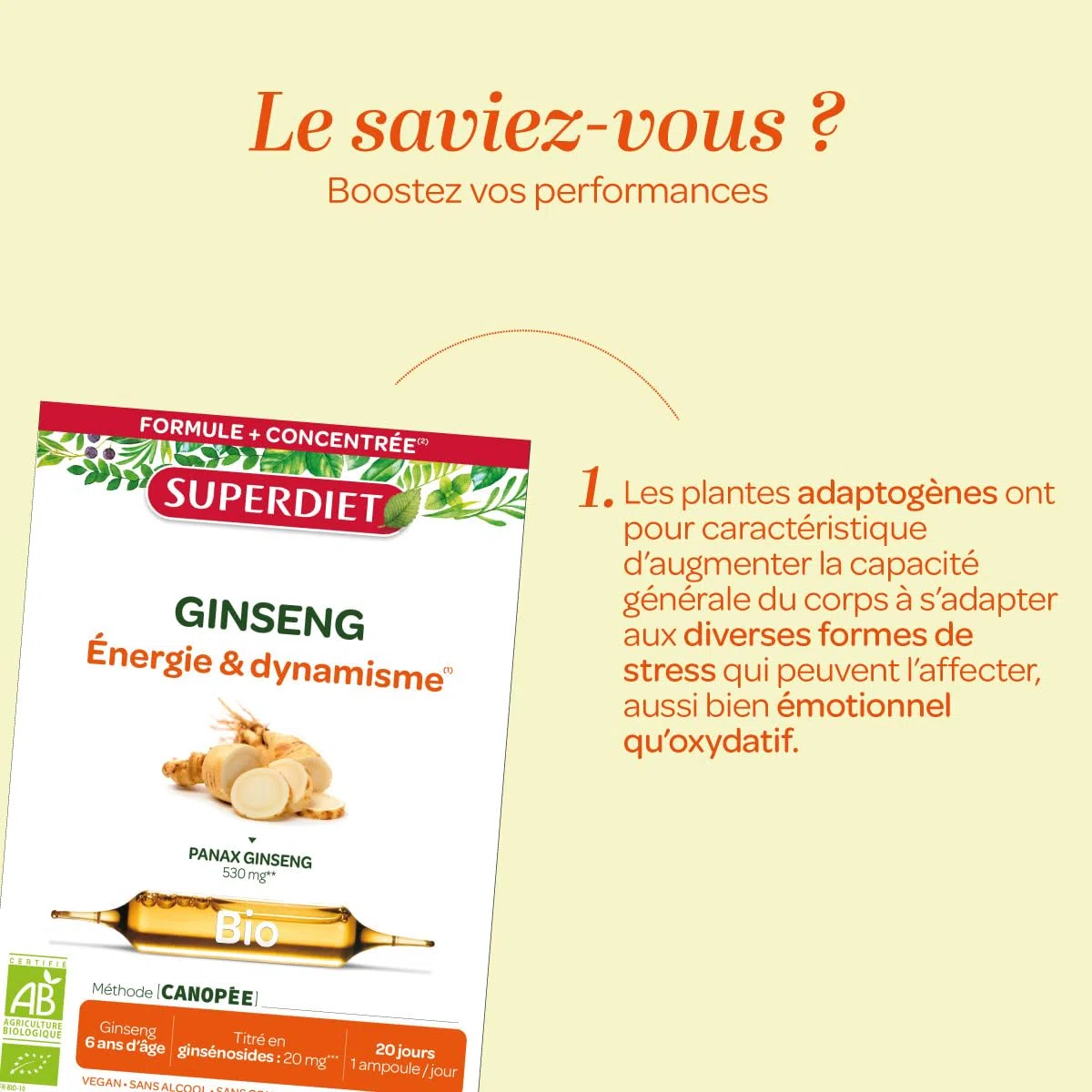SUPERDIET – GINSENG BIO – Énergie & Dynamisme – Phytothérapie – Fabrication française – 20 ampoules de 10 ml