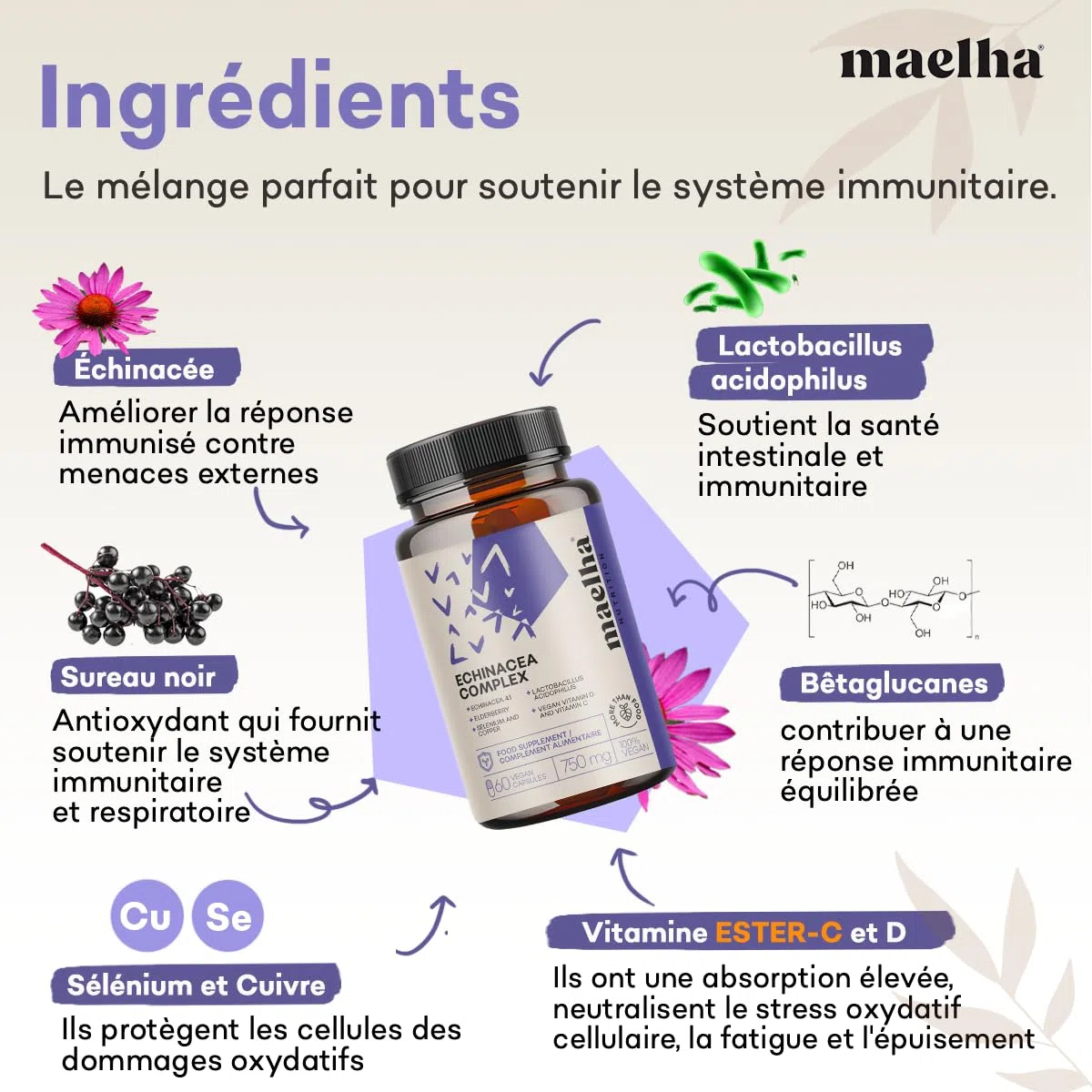 ÉCHINACÉE COMPLEX | Échinacée, ESTER-C, Bêta-glucanes, Sureau, Vitamine D, Sélénium, Cuivre, Lactobacillus acidophilus | Système immunitaire | 60 Gélules végétales | Formule 100% VEGAN