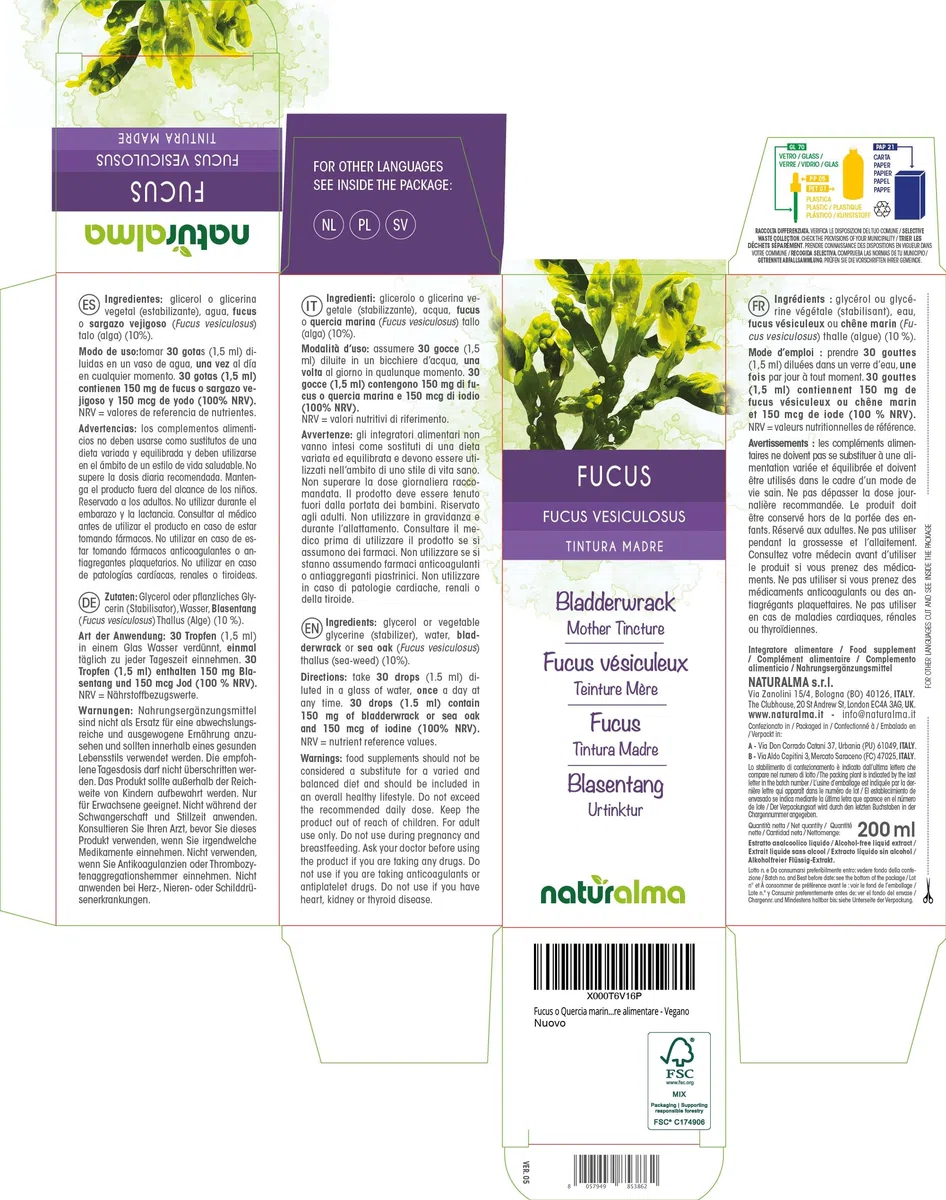 Fucus vésiculeux ou Chêne marin (Fucus vesiculosus) thalle (algue) Teinture Mère sans alcool Naturalma - Extrait liquide gouttes 200 ml - Complément alimentaire - Végétalien ou végan