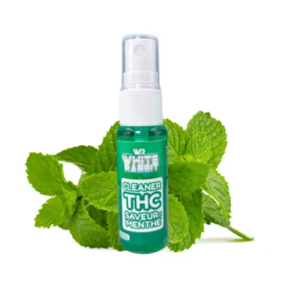 Kleaner nettoyant Toxines | Nettoyant Hygiène buccale | Bain de bouche | Spray Kleaner 20 ml | 99% d'efficacité| Menthe