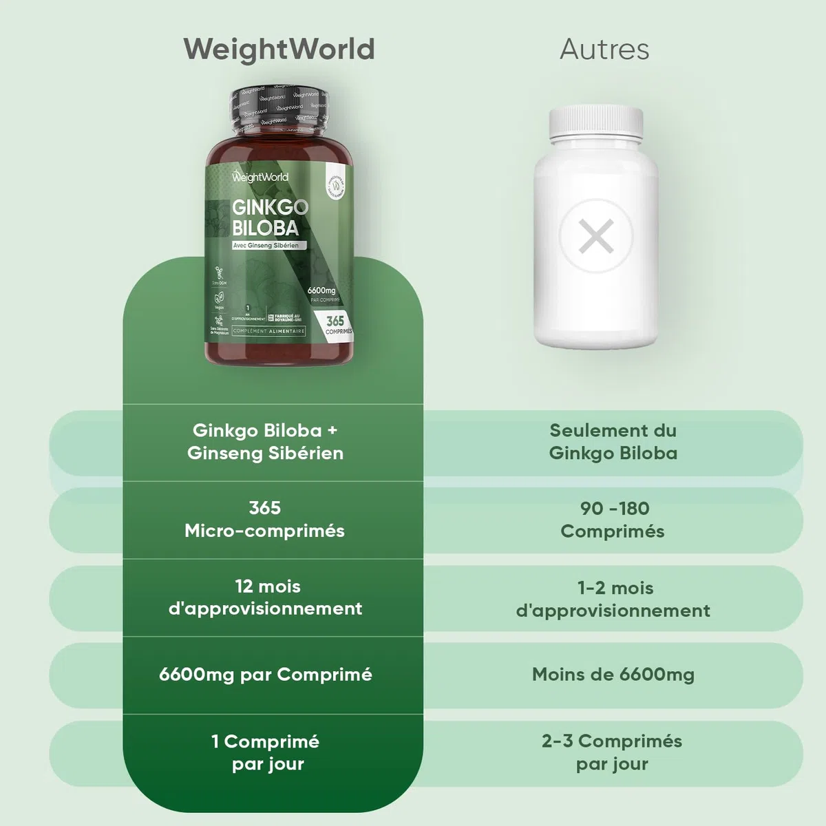 Ginkgo Biloba 6600mg avec Ginseng Sibérien, 365 Micro-Comprimés pour 1 An, Extrait de Ginko Biloba en Comprimés Vegan avec Flavones Glycosides & Terpènes Lactones, Sans Acide Ginkgolique et Sans OGM