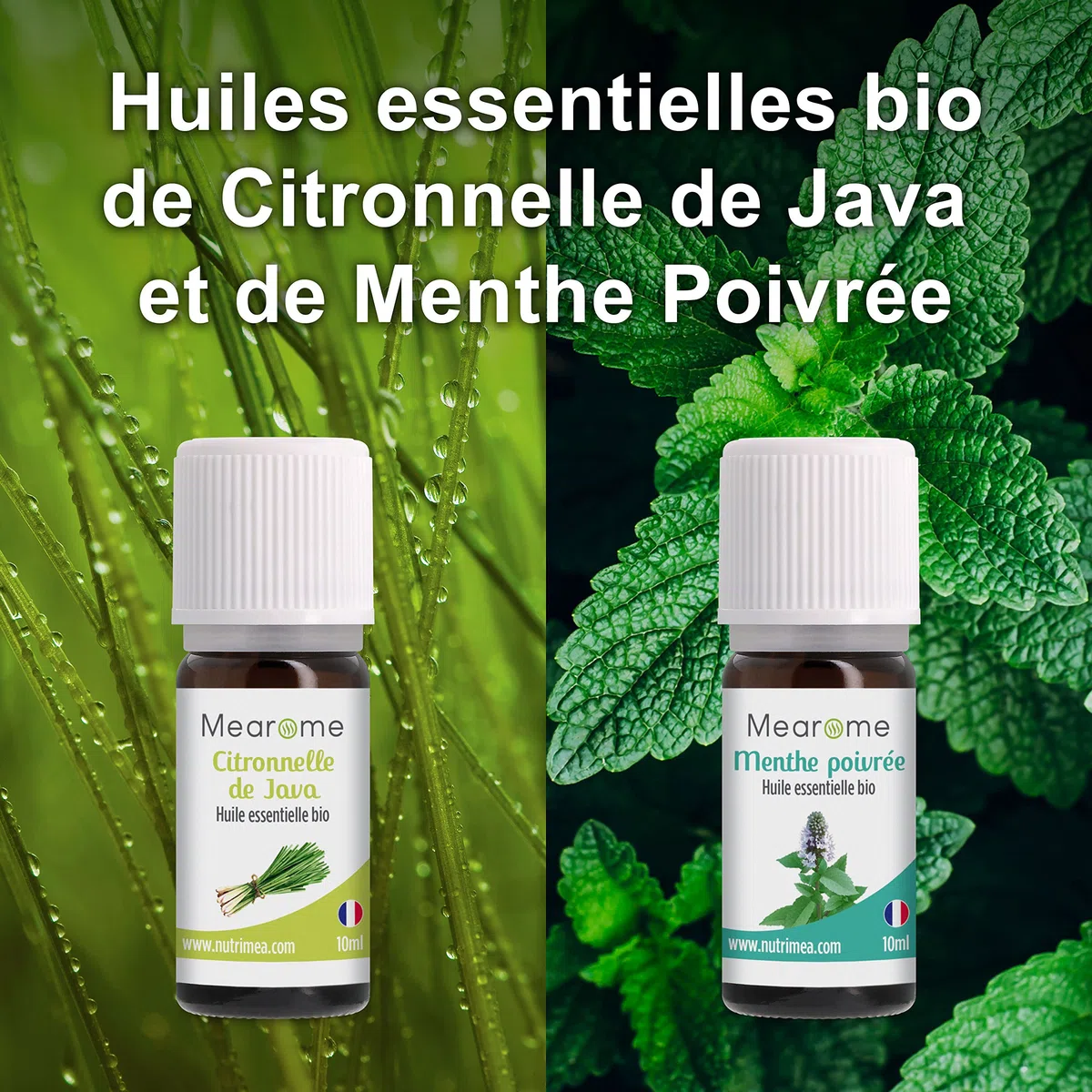 Coffret 8 x 10 ml Huiles Essentielles BIO distillées en FRANCE + Guide d'Aromathérapie PDF | HEBBD, HECT | Kit pour Cuisine, Diffuseur | Bienfaits Respiratoires, Encombrement, Digestion | Mearome