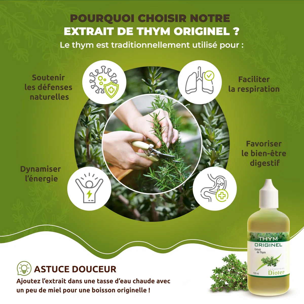 Thym Originel – Extrait concentré de Thym 100 ml, Sans Alcool, 100% Naturel – Soutien Respiratoire & Immunité