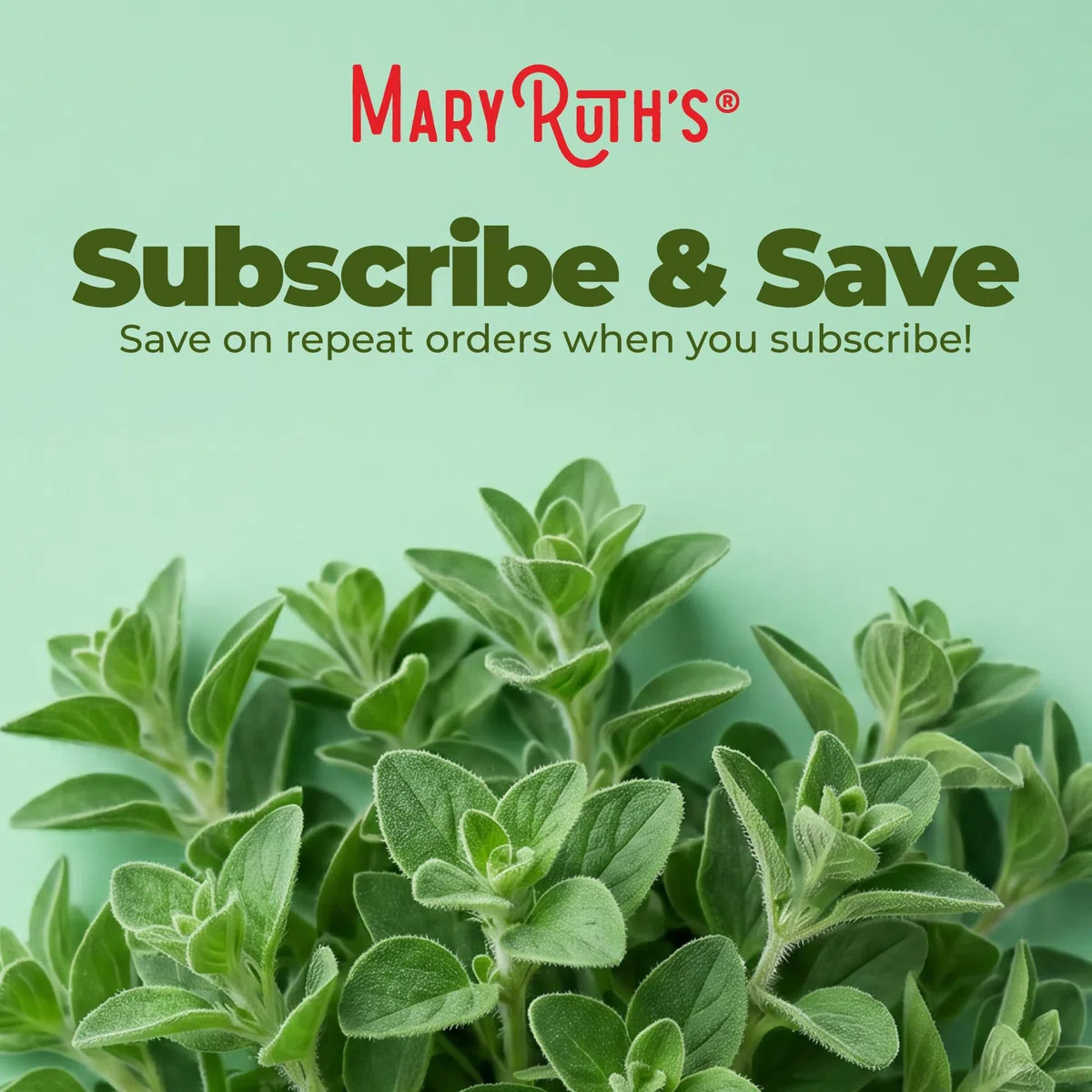 MaryRuth Organics, Oil of Oregano Drops, Huile d'Origan Végétalienne en Gouttes, 30ml, Testé en Laboratoire, Végétarien, Sans Gluten, Sans Soja, Sans OGM