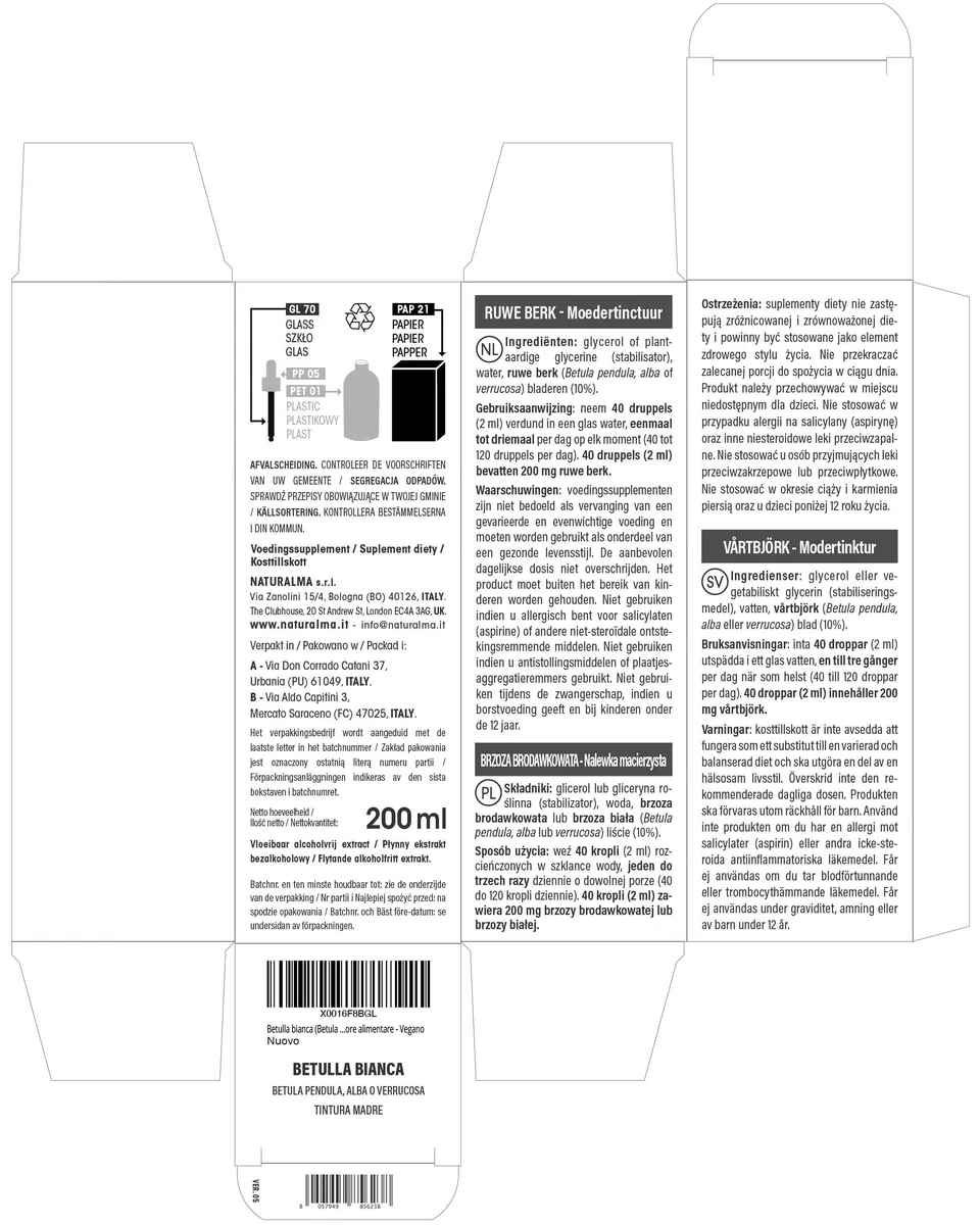 Bouleau blanc ou Bouleau verruqueux (Betula pendula, alba ou verrucosa) feuilles Teinture Mère sans alcool Naturalma - Extrait liquide gouttes 200 ml - Complément alimentaire - Végétalien ou végan
