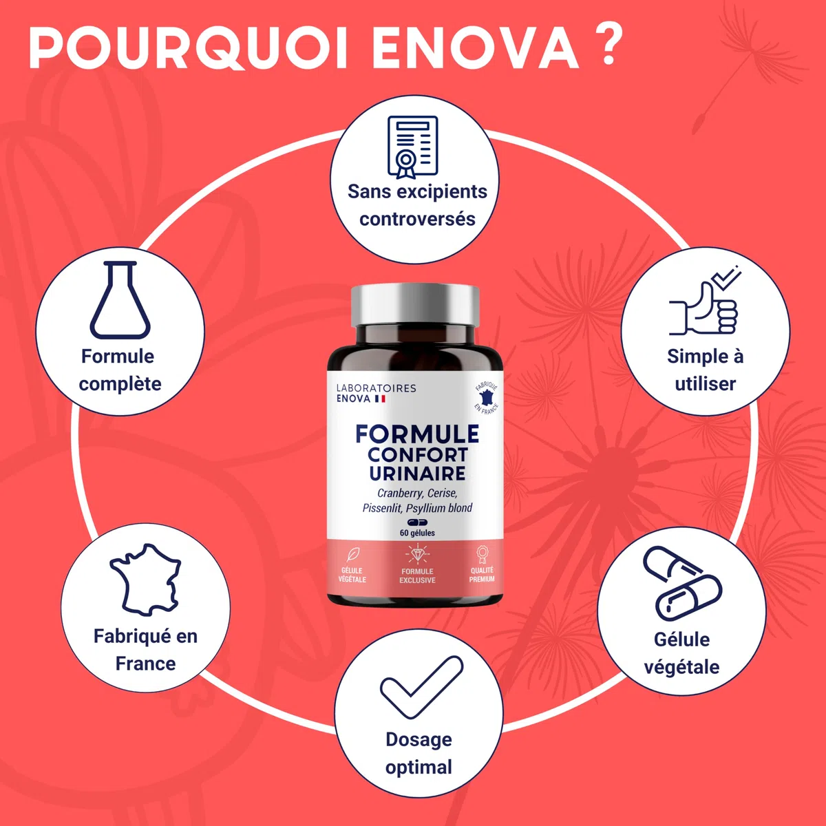 FORMULE CONFORT URINAIRE | Cranberry Psyllium Cerise Pissenlit | Complement alimentaire | Confort, Drainage, Régulation | 60 Gélules | Fabriqué en France