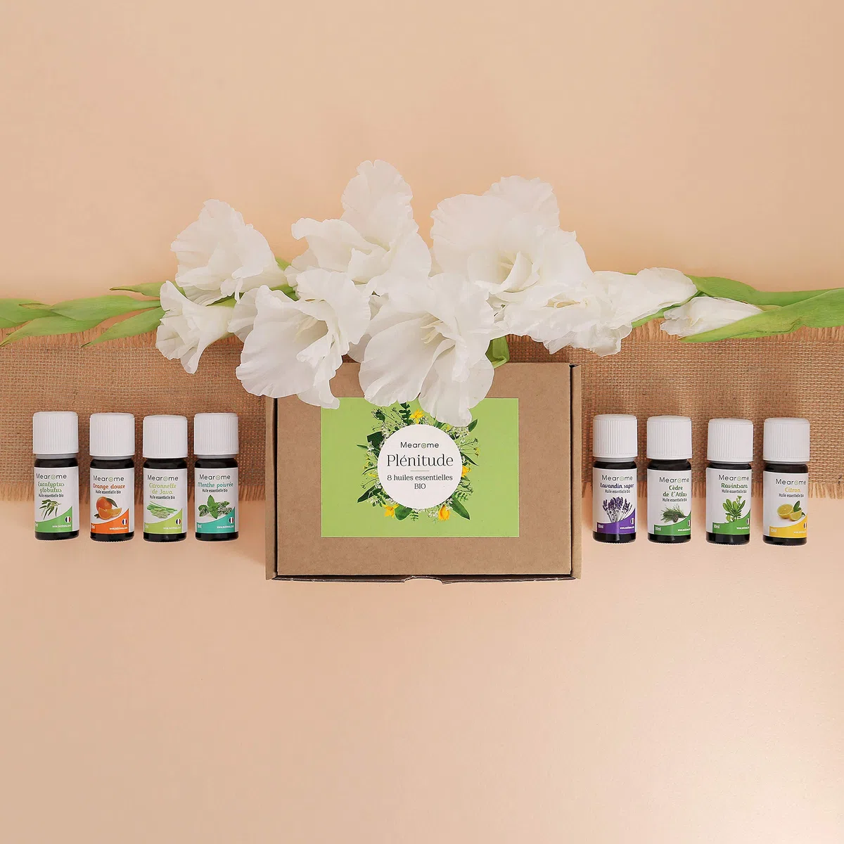 Coffret 8 x 10 ml Huiles Essentielles BIO distillées en FRANCE + Guide d'Aromathérapie PDF | HEBBD, HECT | Kit pour Cuisine, Diffuseur | Bienfaits Respiratoires, Encombrement, Digestion | Mearome
