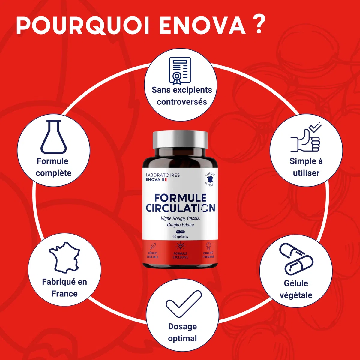 FORMULE CIRCULATION Sanguine, veineuse | Jambes lourdes, Rétention d'eau | Vigne Rouge (hautement dosé), Cassis, Gingko Biloba | 60 gélules | Complement alimentaire