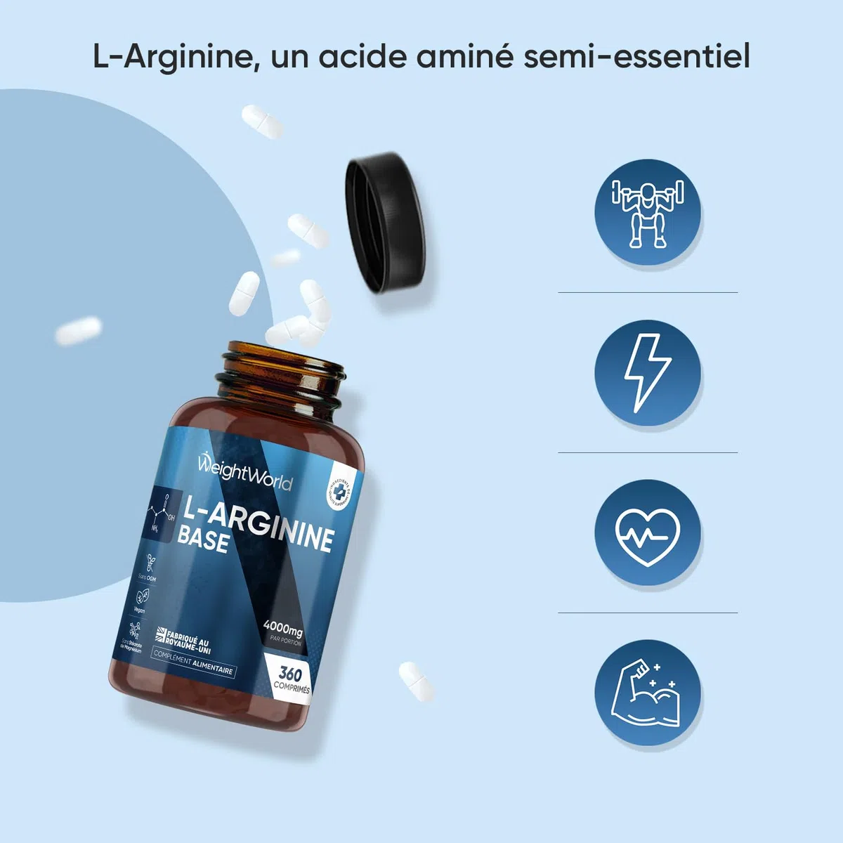 L Arginine Base, sans Sels ni Acides Ajoutés – 360 Comprimés, 3 Comprimés/Jour pour 3 Mois - pas de L Arginine HCL ou de L-Citrulline - Acide Aminé Semi-essentiel, Post Workout et Pre Workout
