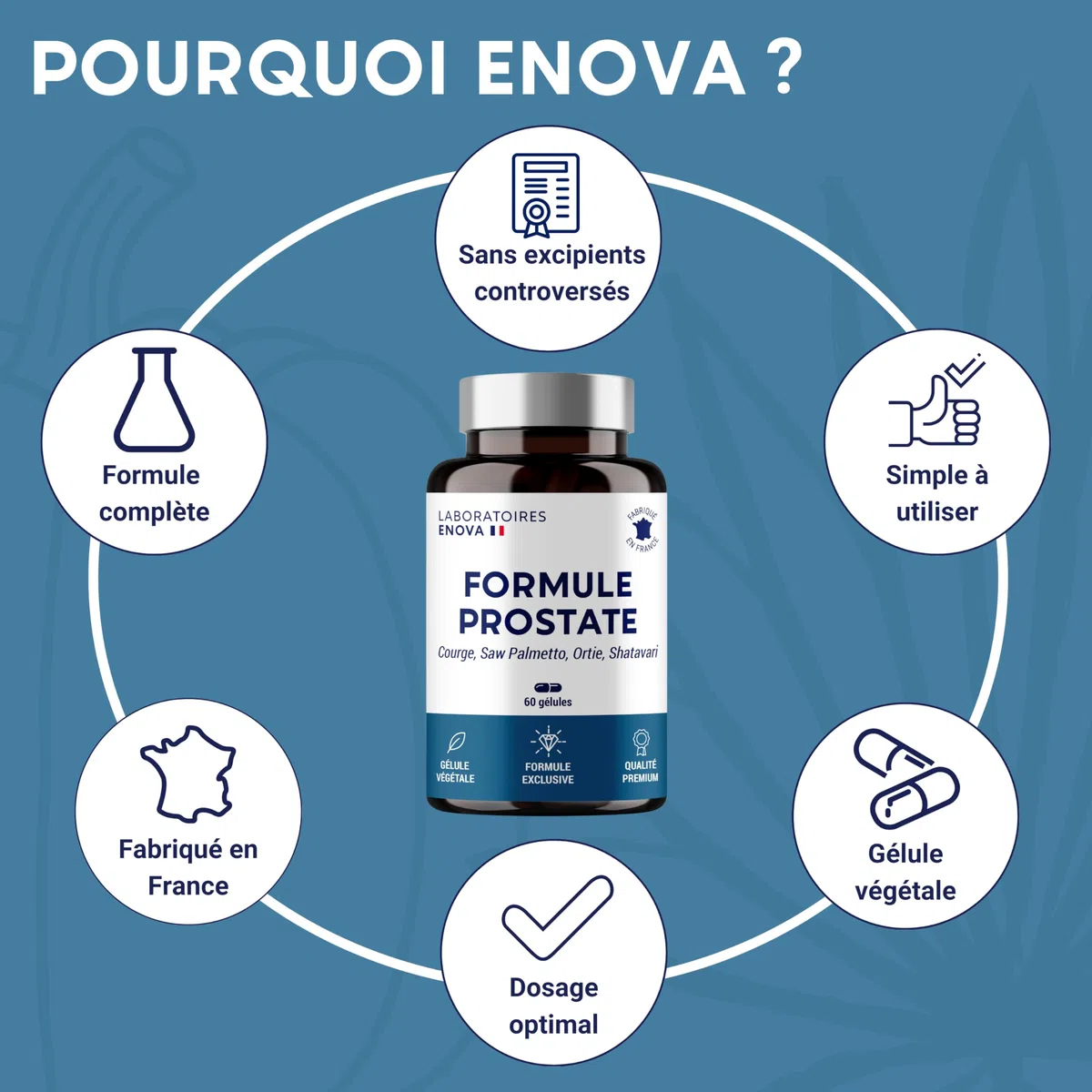 FORMULE PROSTATE | Courge, Saw Palmetto, Ortie, Shatavari | Rétention, Débit, Fréquence | 60 Gélules | Fabriqué en France | Complement alimentaire