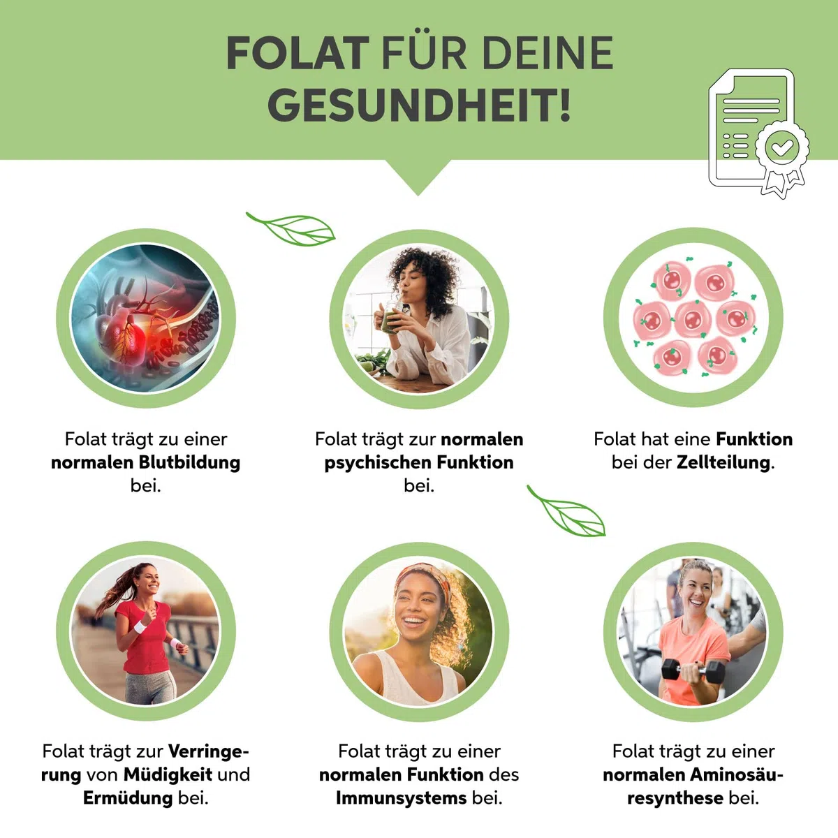 Poudre d'herbe d'orge bio moulue 1 kg | Poudre d'herbe d'orge issue de l'agriculture allemande | 100 % pure sans additifs (DE-ÖKO-007)