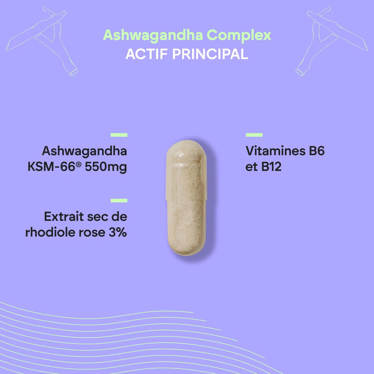 Ashwagandha KSM-66 Withanolides Rhodiola Rosea - Vit B6 B12 Ashwagandha BIO-disponible - 60 Gélules Végétalien Nutralie