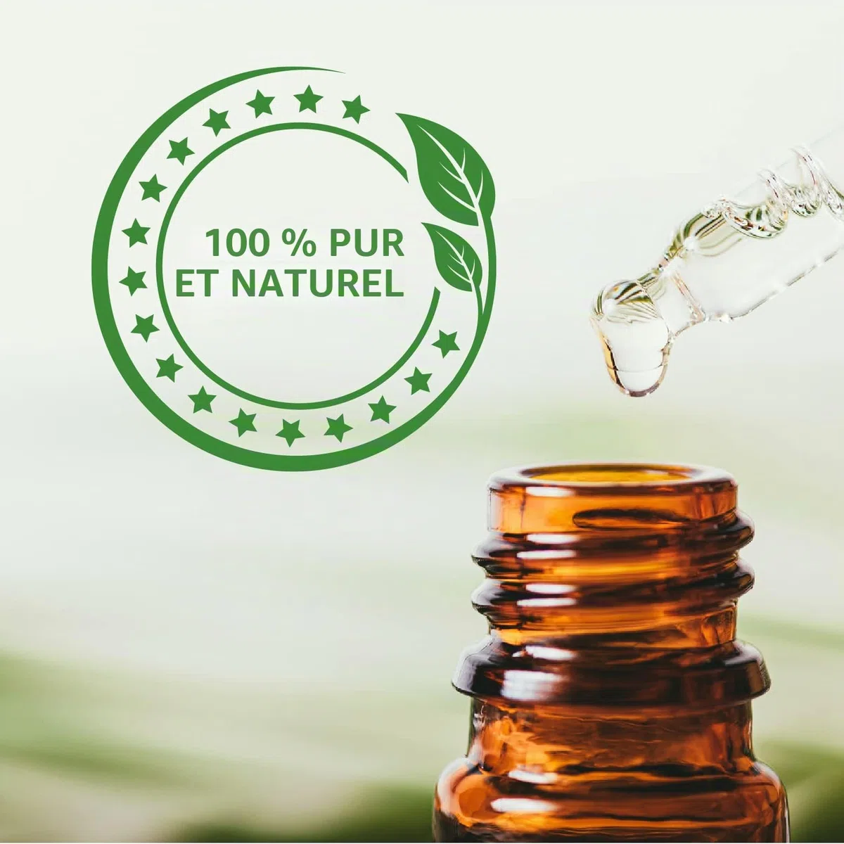 Mystic Moments Huile Essentielle d'Ail - 100ml - 100% Pure