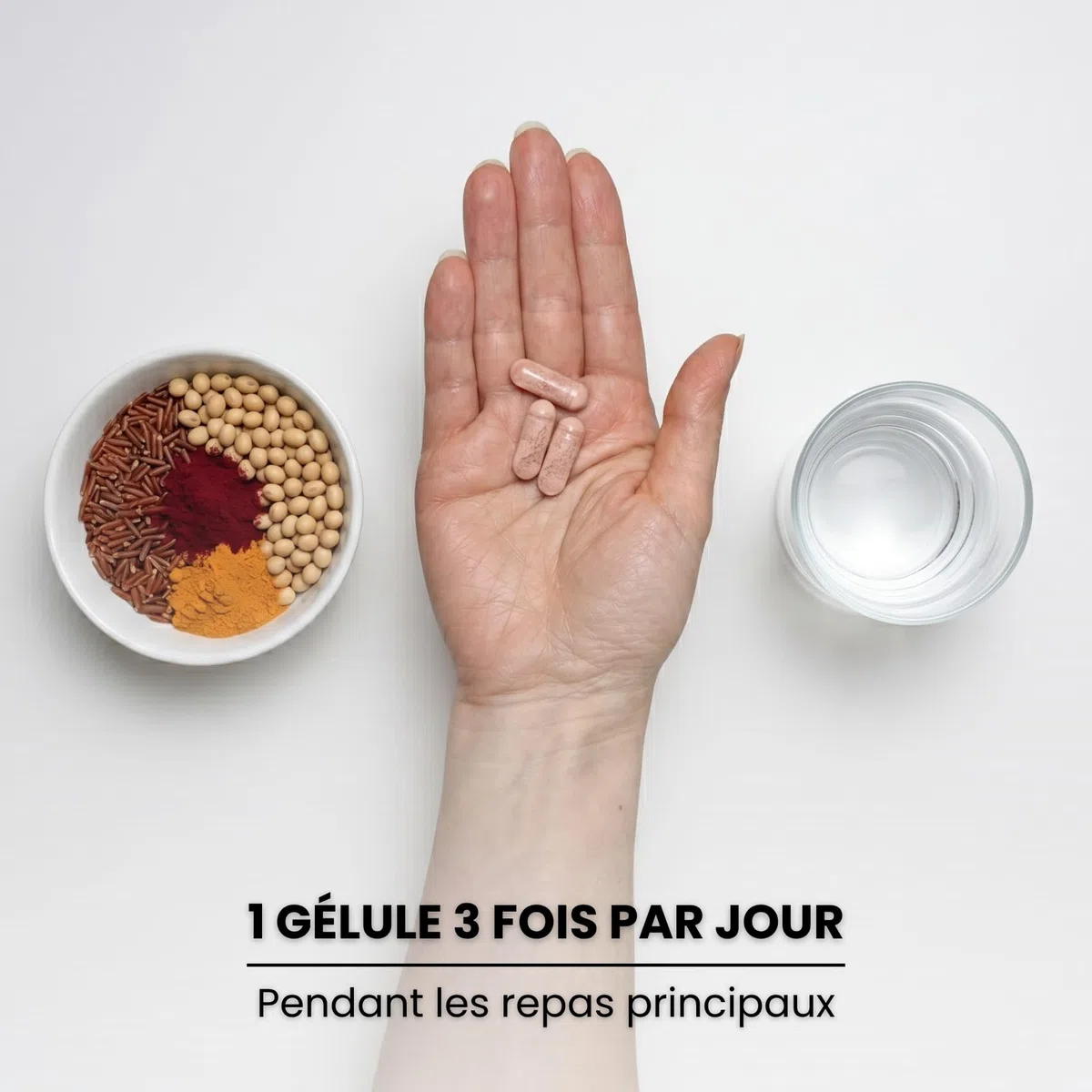 Stérols Végétaux (Phytostérols), Levure de Riz Rouge (Monacolines), Astaxanthine et Coenzyme Q10 – Cholestérol et Triglycérides – 135 gélules – Végan – Sans additifs | Protecardio Nutribiolite