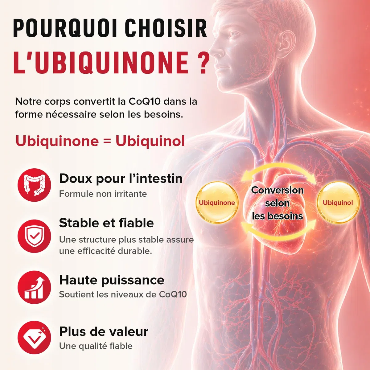 CoQ10 avec L-Glutathion 1000mg Gélules - 100% Coenzyme Q10 Fermentée, Q10 Coenzyme Hautement Dosée, Antioxydant Co Enzyme Q 10, Sans Soja, Sans Gluten,Végétalien