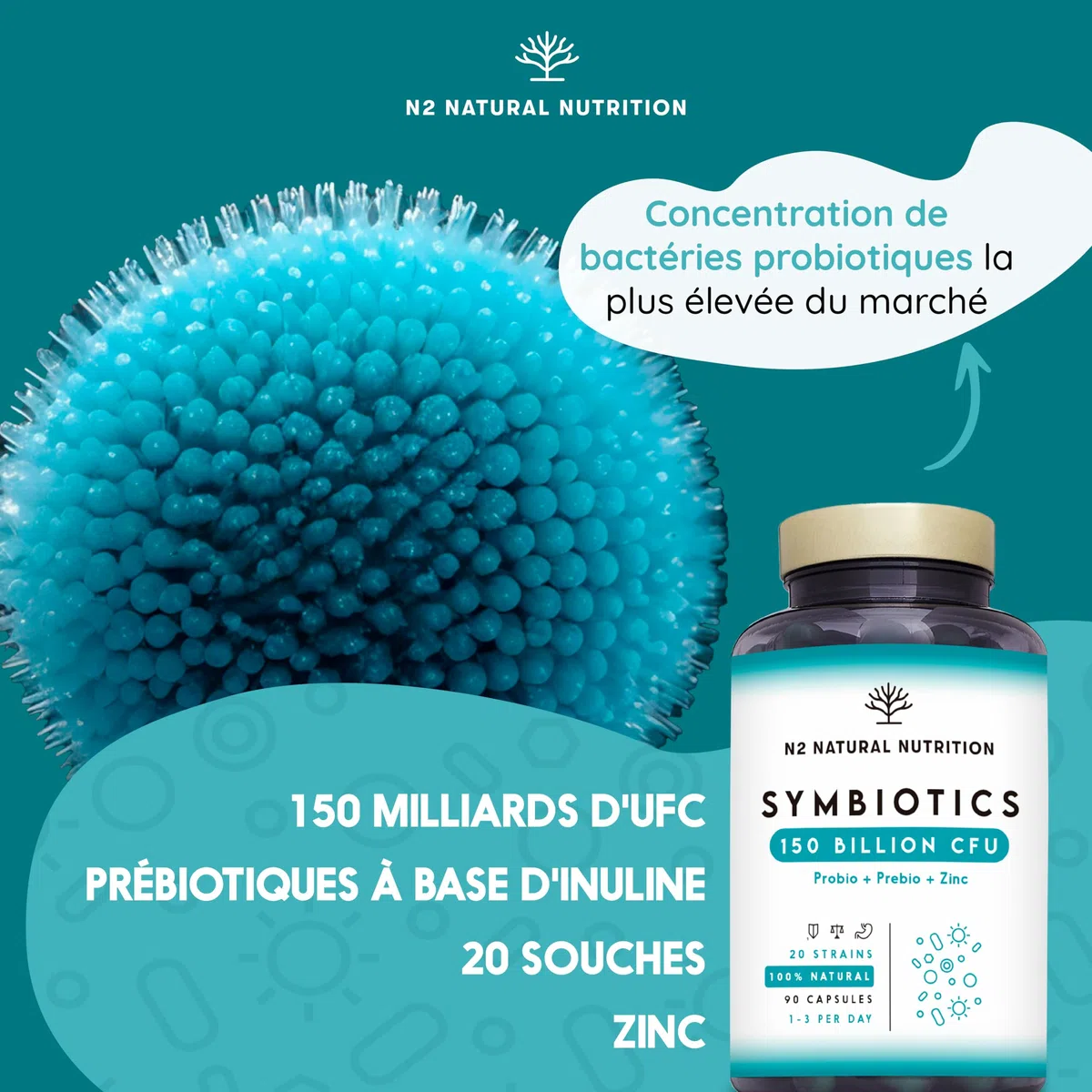Probiotique Flore Intestinale 150 Milliards UFC, 20 Souches de Bactéries + Zinc + Inuline. Probiotiques pour la Régénération Digestive et Microbiote. 90 gélules, Végétalien. N2 Natural Nutrition