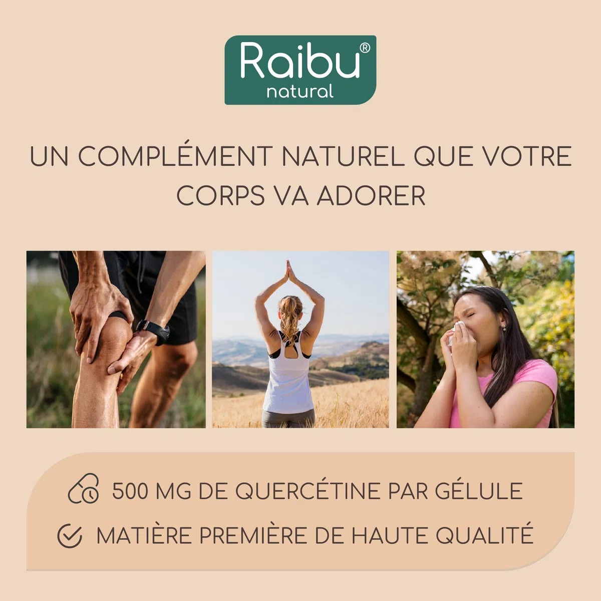 Quercétine, 180 Gélules pour 6 Mois - 500 mg par Gélule, Quercétine issue des Fleurs de Sophora Japonica - Flavonoïdes Haute Biodisponibilité - Testé en laboratoire, Sans Additifs - RAIBU